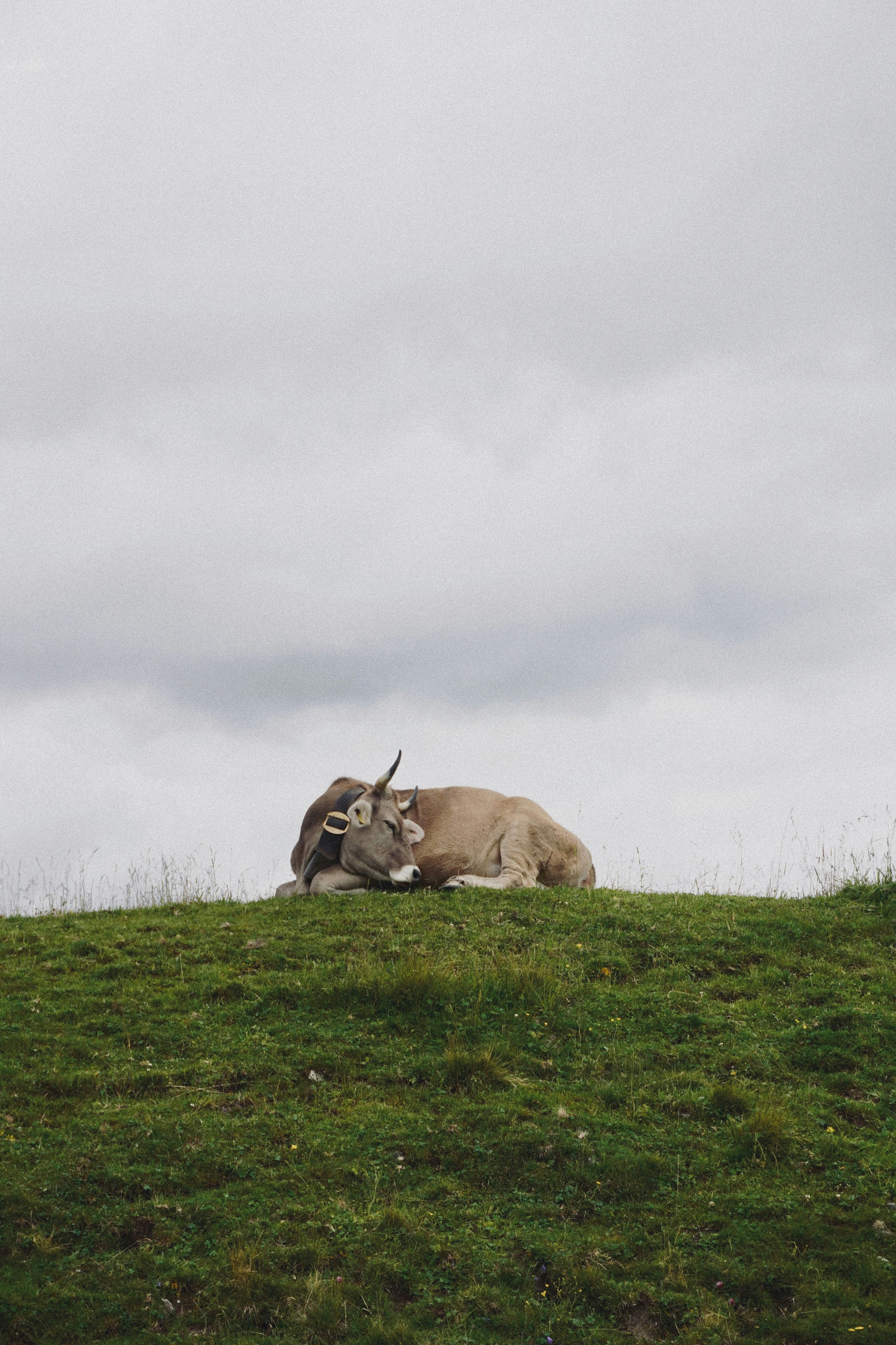 Photo by franziskawe01