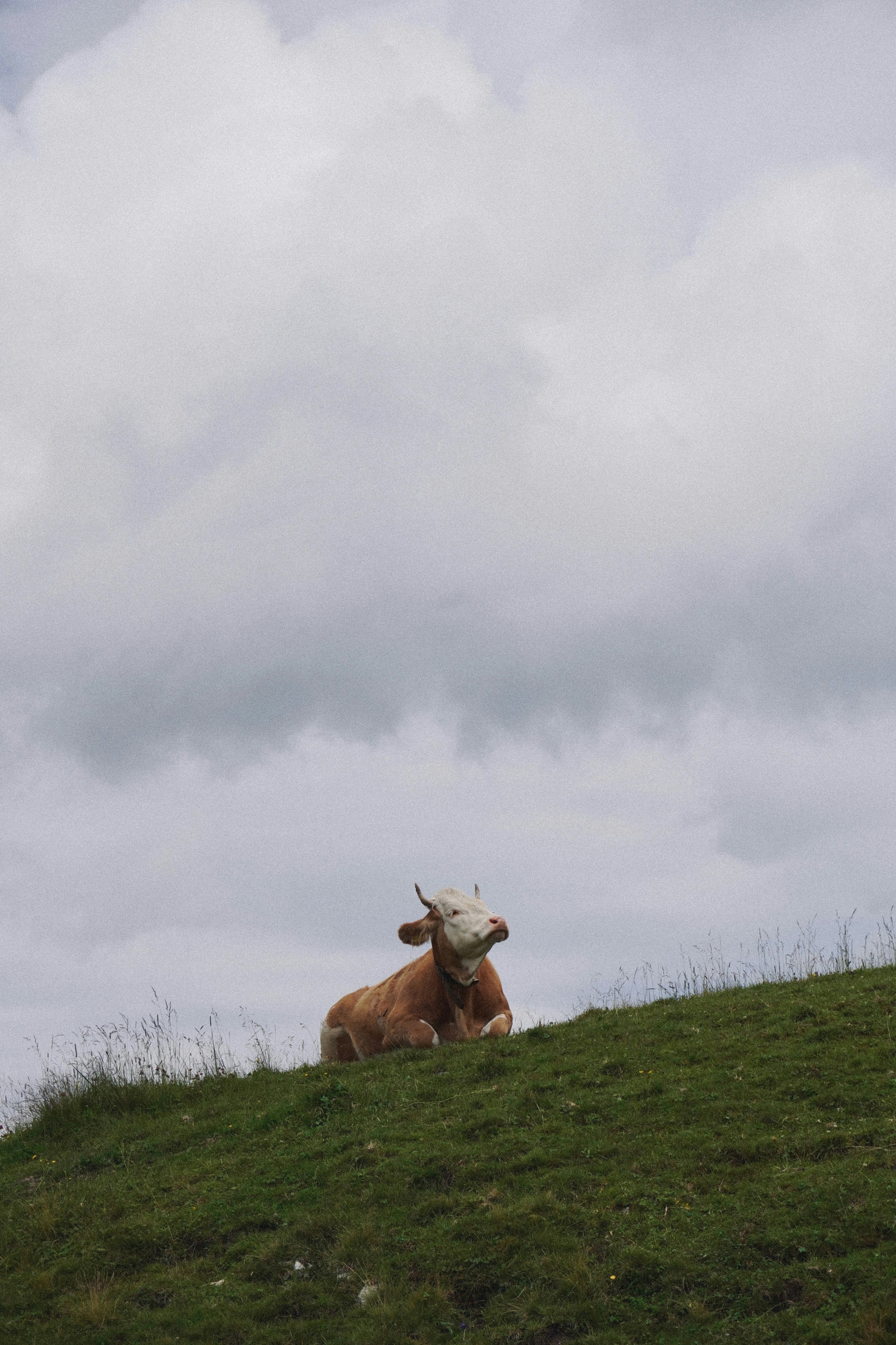 Photo by franziskawe01