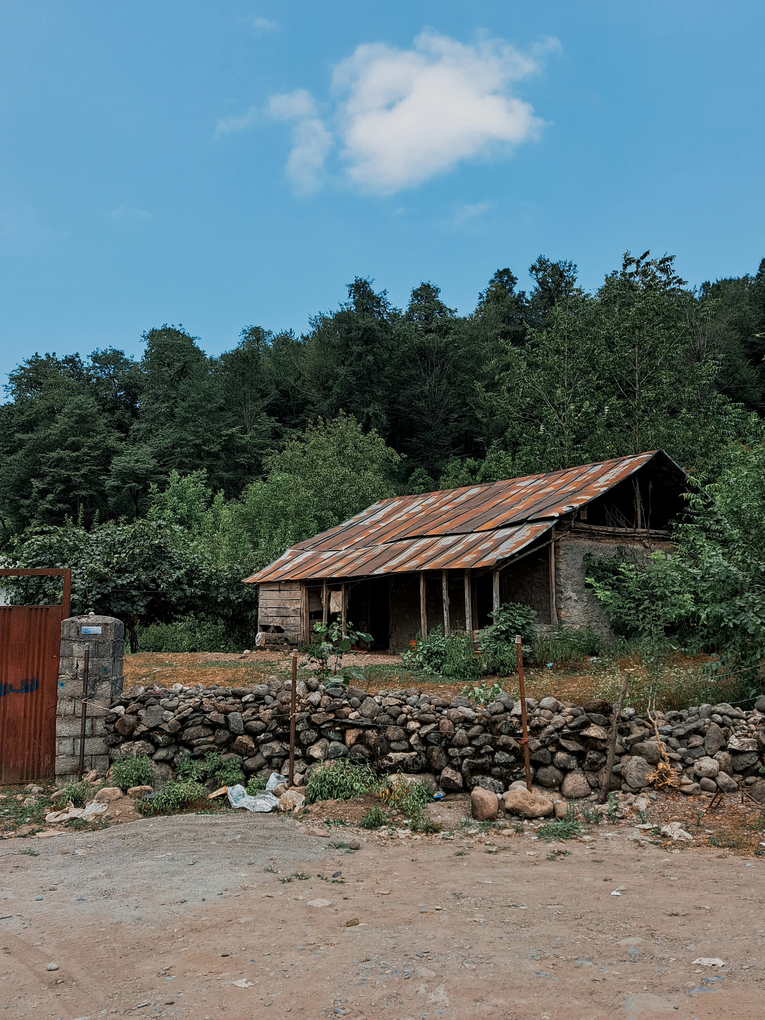 Photo by photo_setayesh