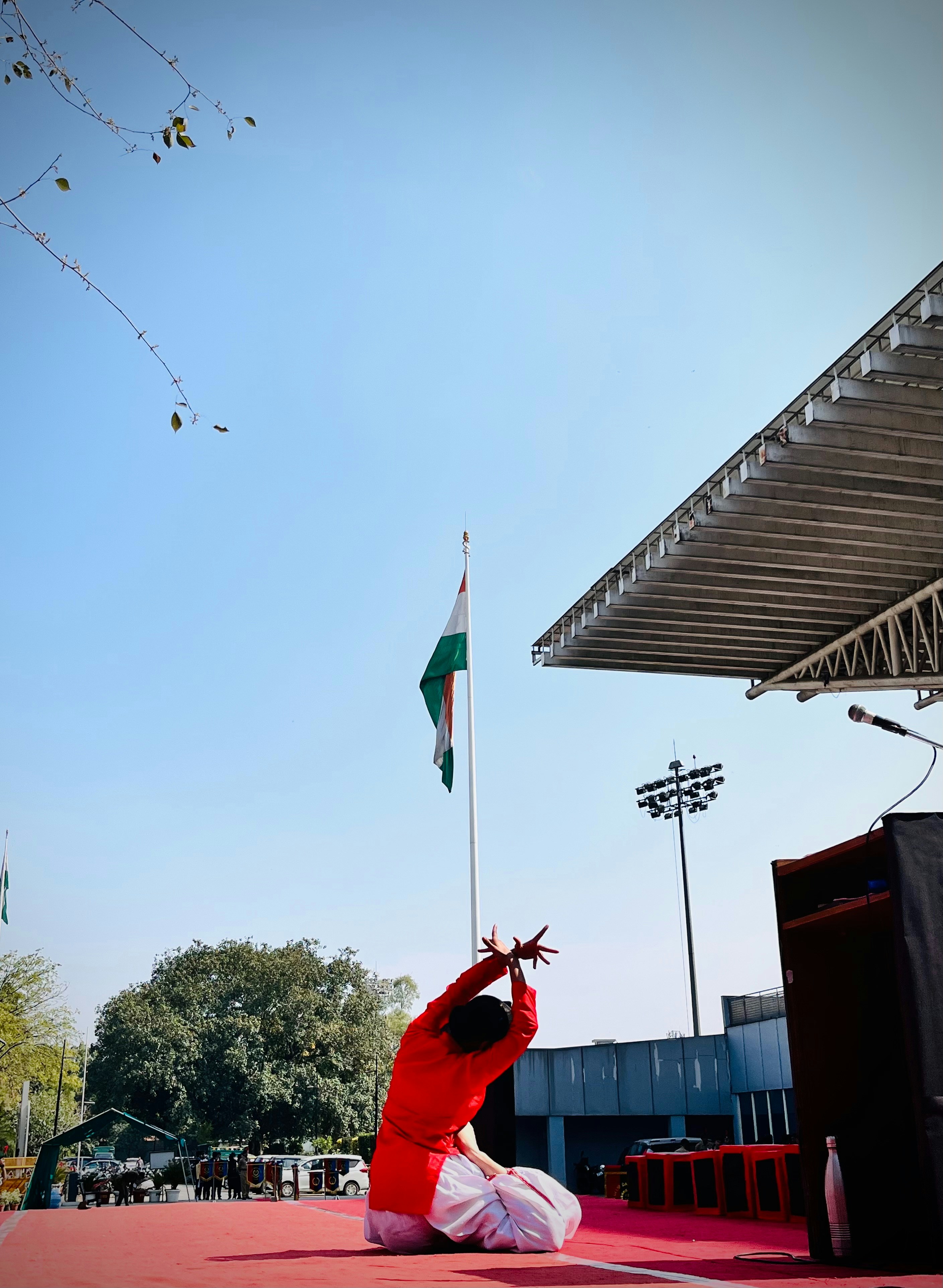 A dancer performs in front of the indian flag.