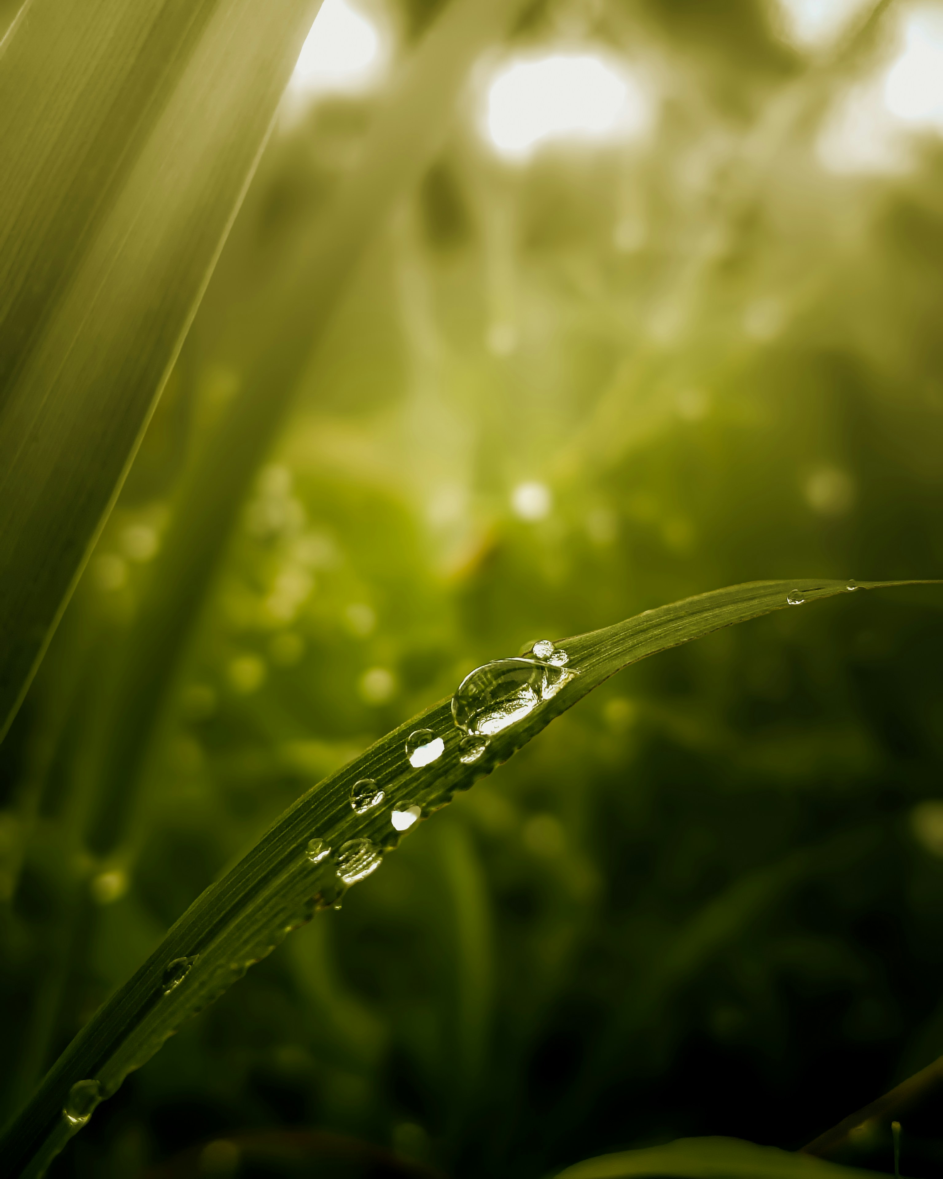 Photo by anup_ediga45