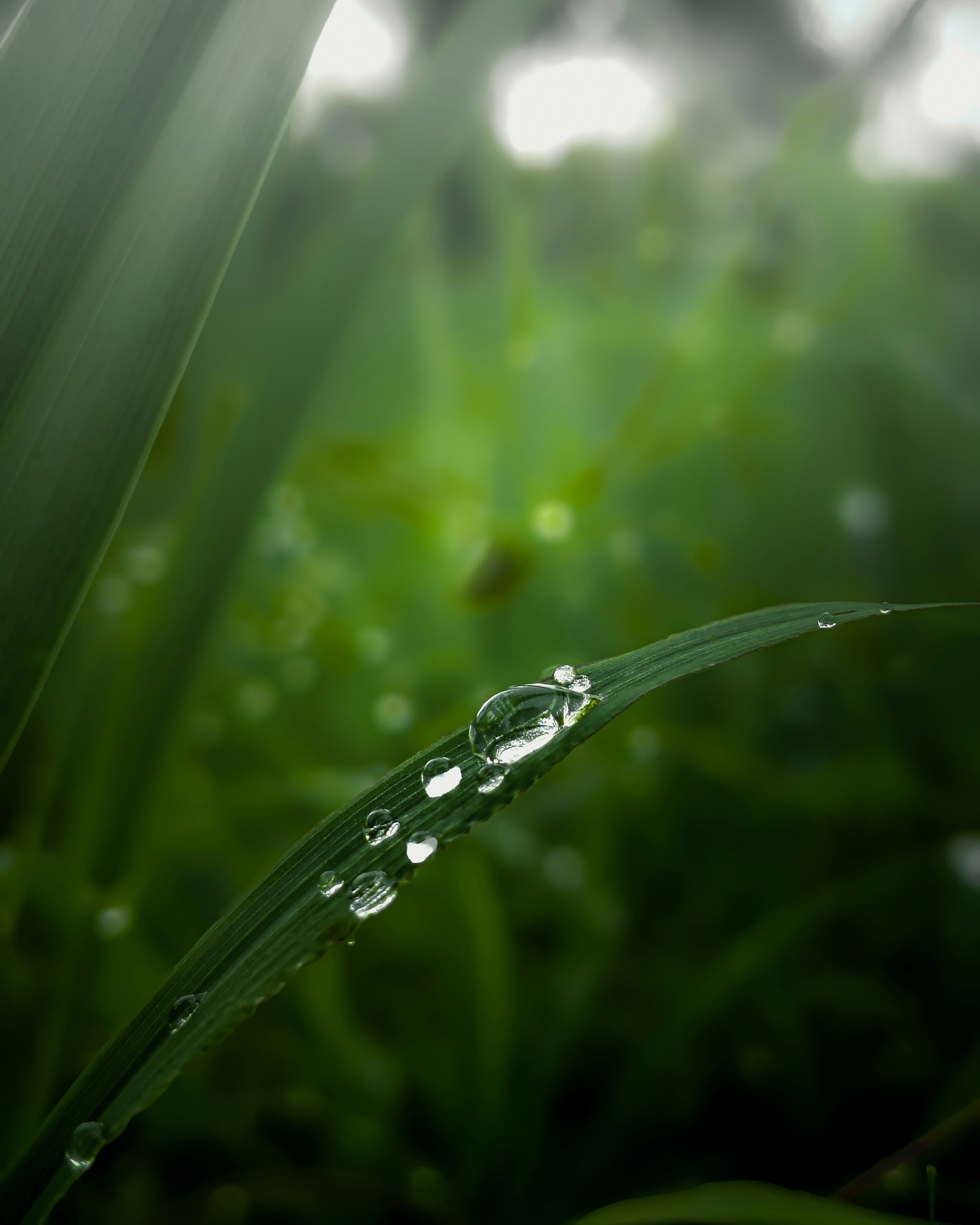 Photo by anup_ediga45