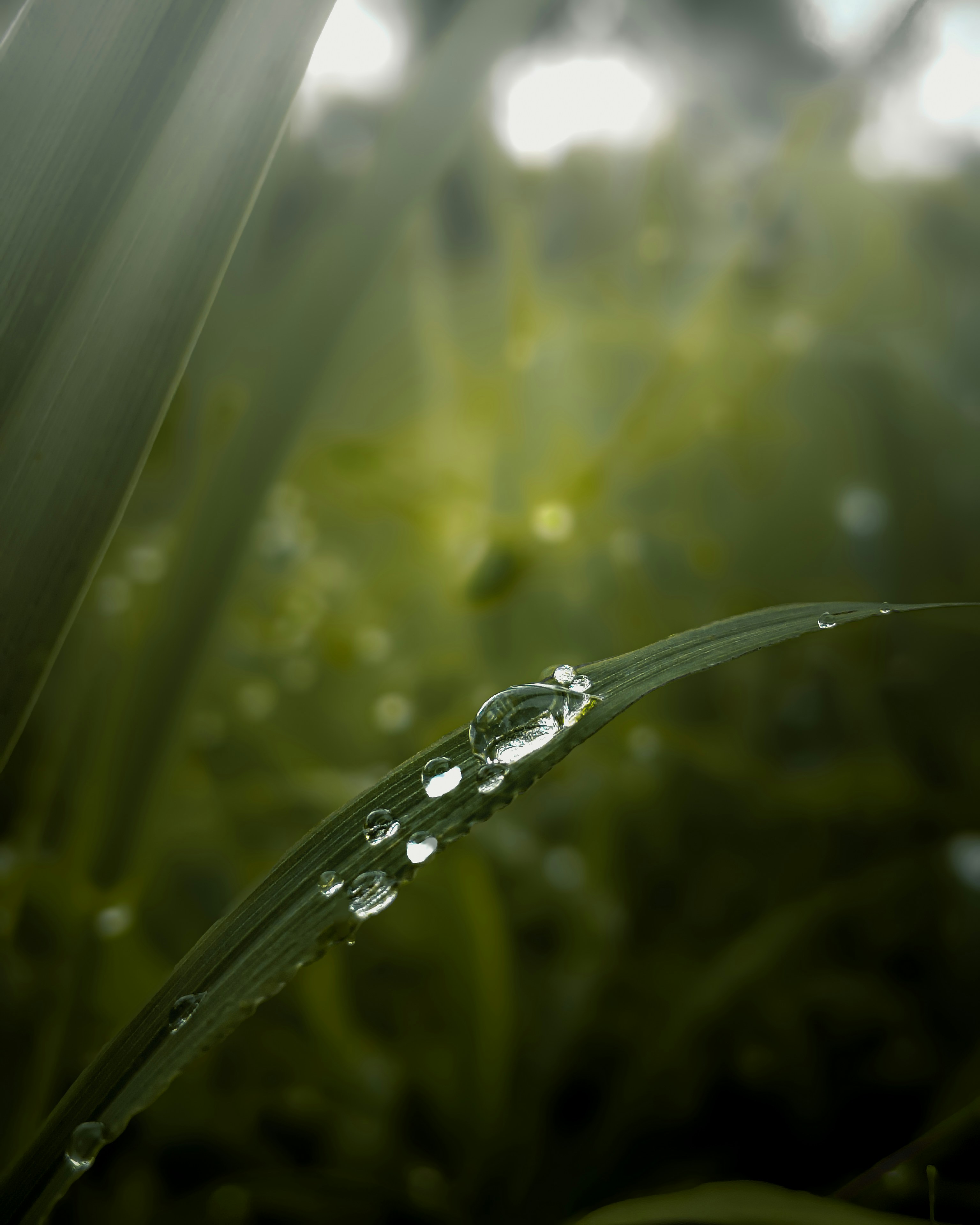 Photo by anup_ediga45