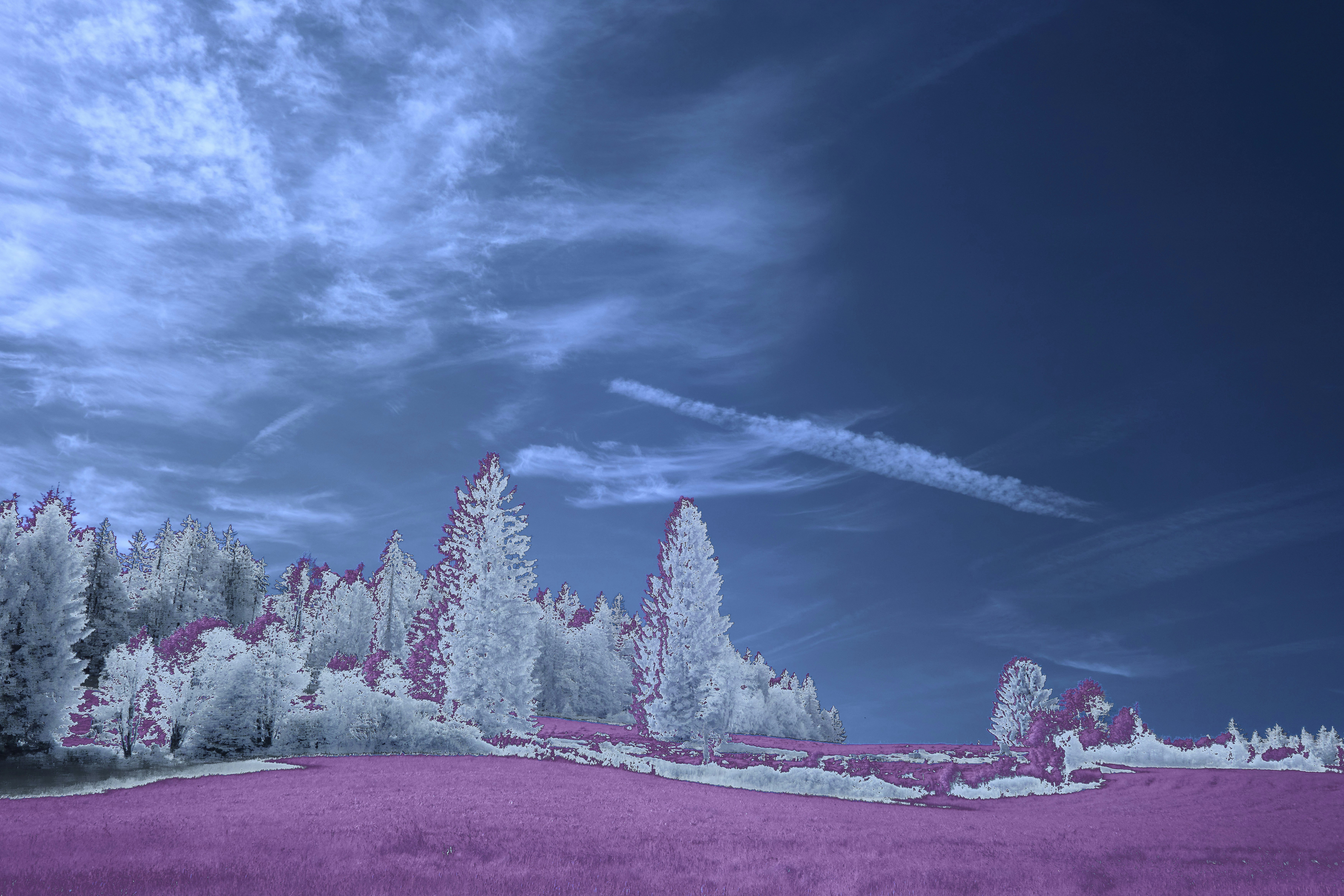 雪の降る朝の赤 photo-1755799868554-ffd08169a56b