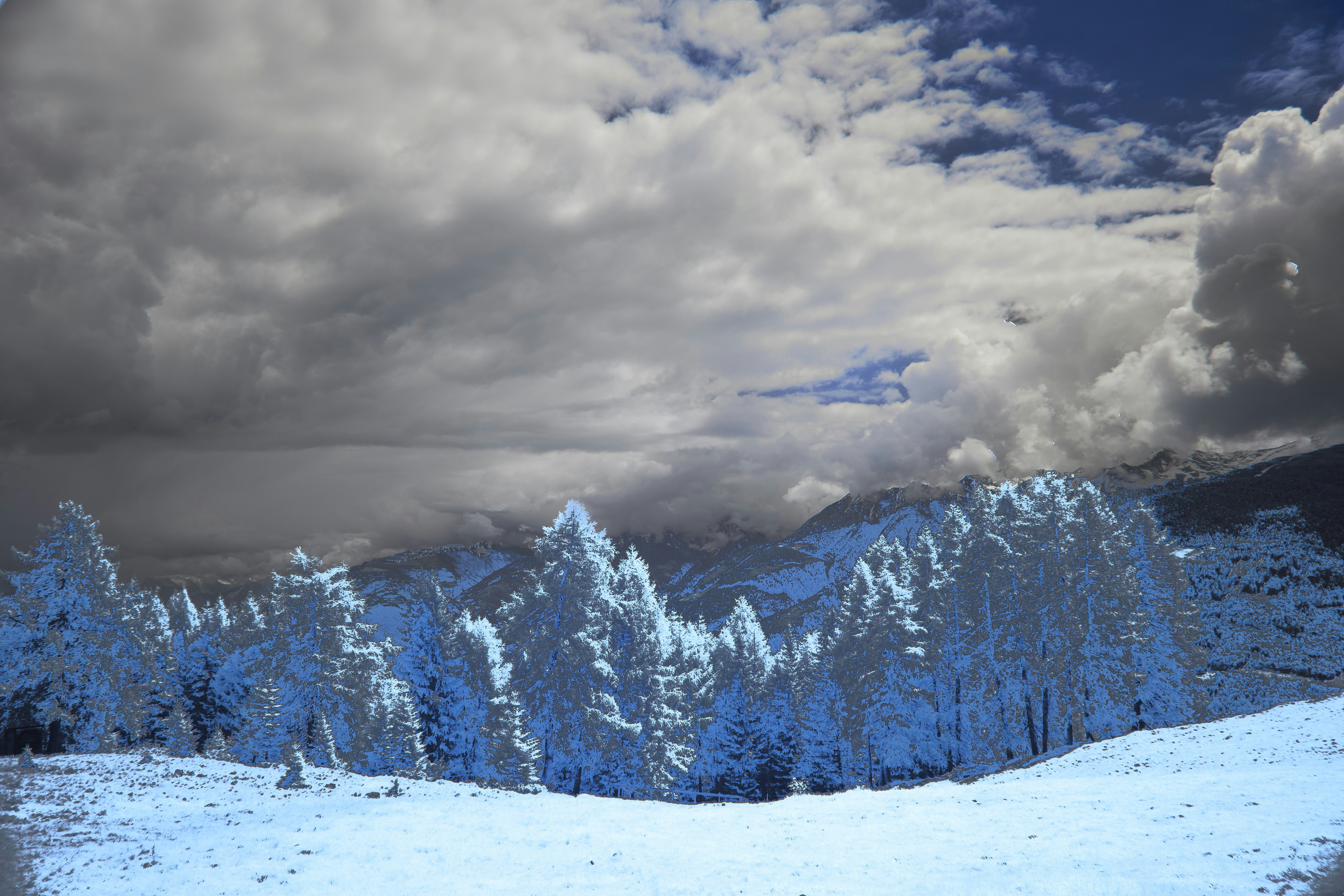 Photo by wolfgang_hasselmann