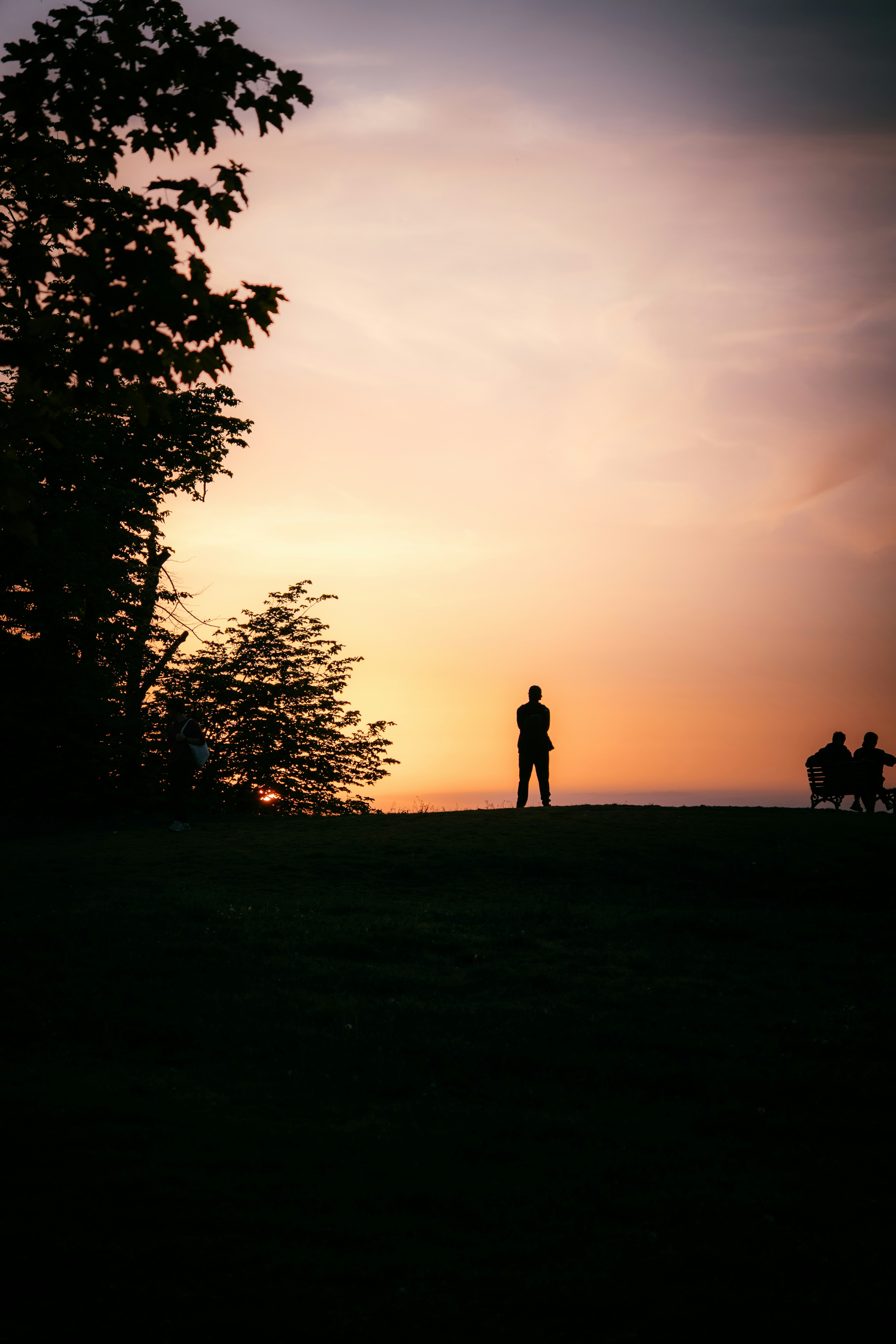 Silhouette of person watching sunset, alone in nature.