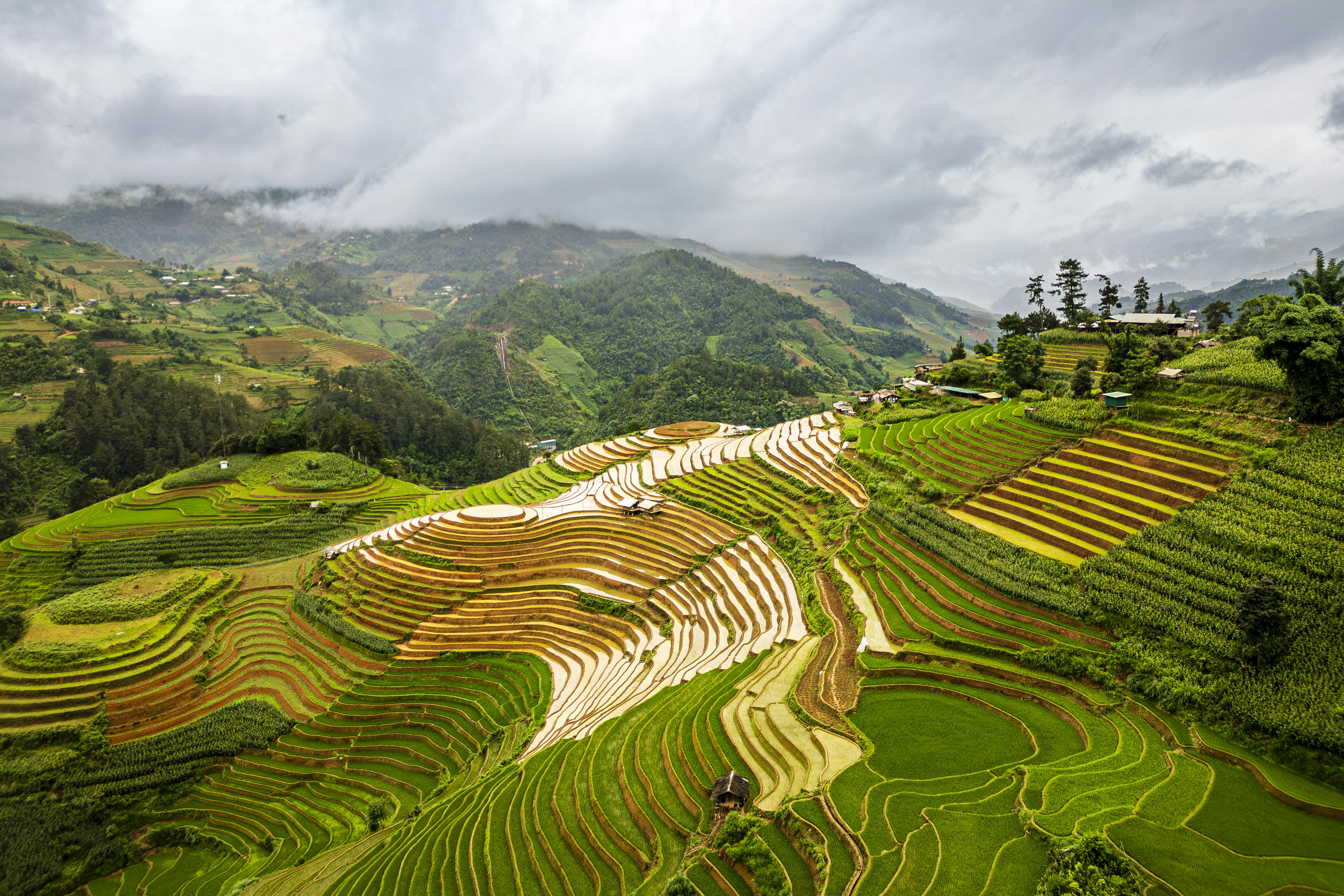 Los campos de arroz en terrazas caen en cascada por una montaña verde. foto  – Imagen de Verde gratuita en Unsplash, image size:3000x2000