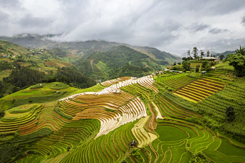 Yên Bái