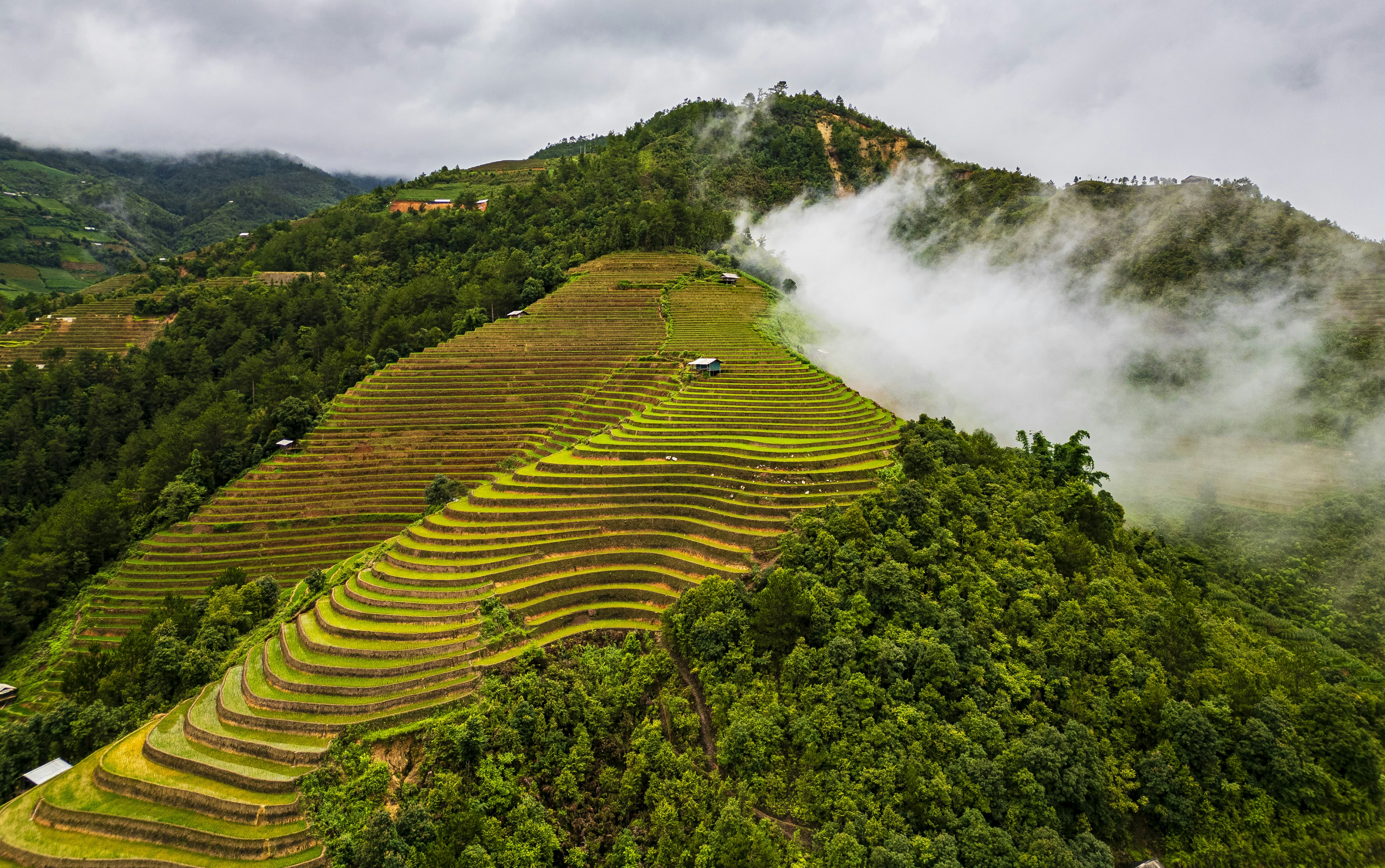 Campos de arroz en terrazas enclavados en las verdes laderas de las  montañas. foto – Imagen de Verde gratuita en Unsplash, image size:3000x1881