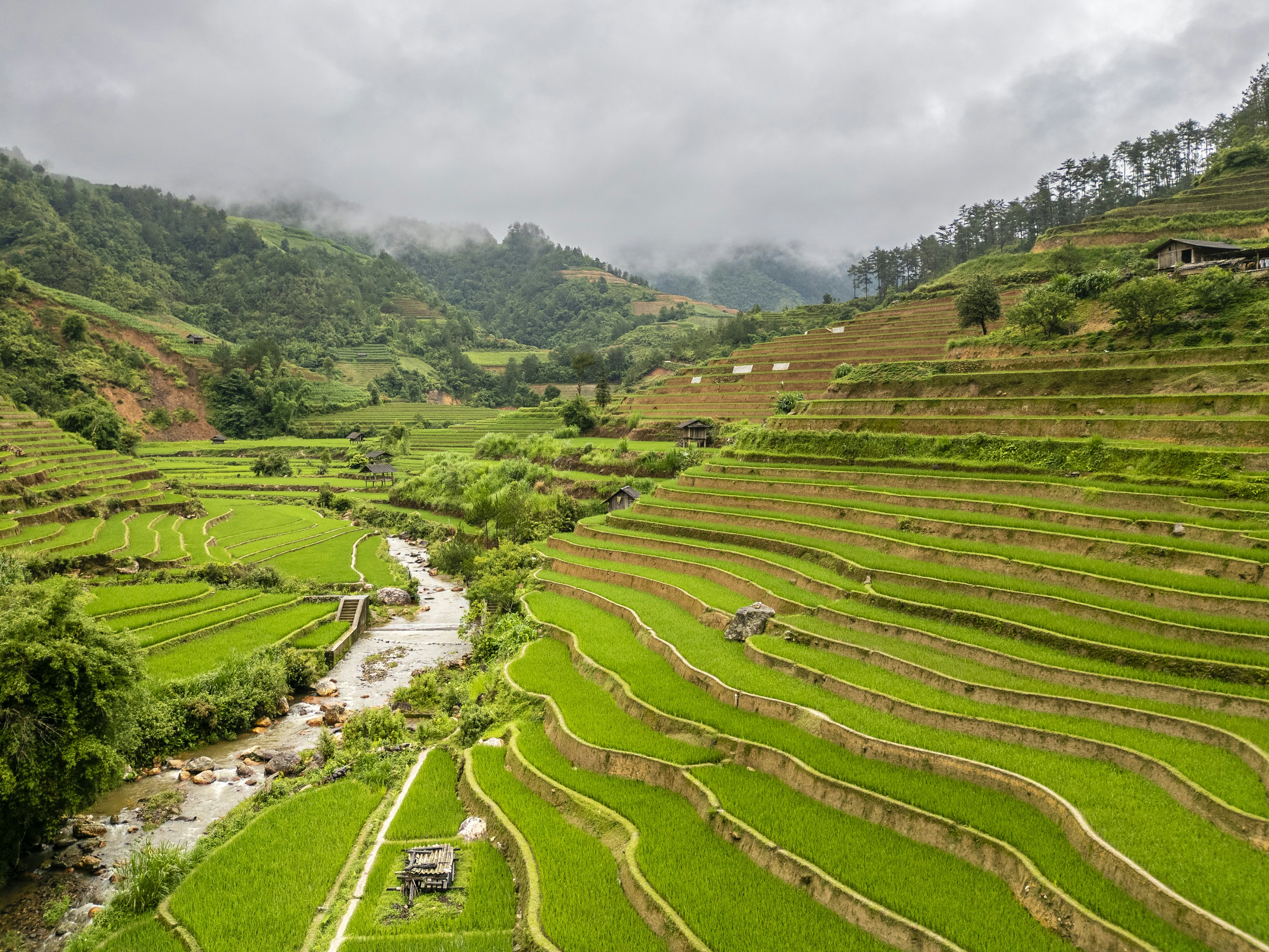 Rice terraces cascade down a lush, green valley.