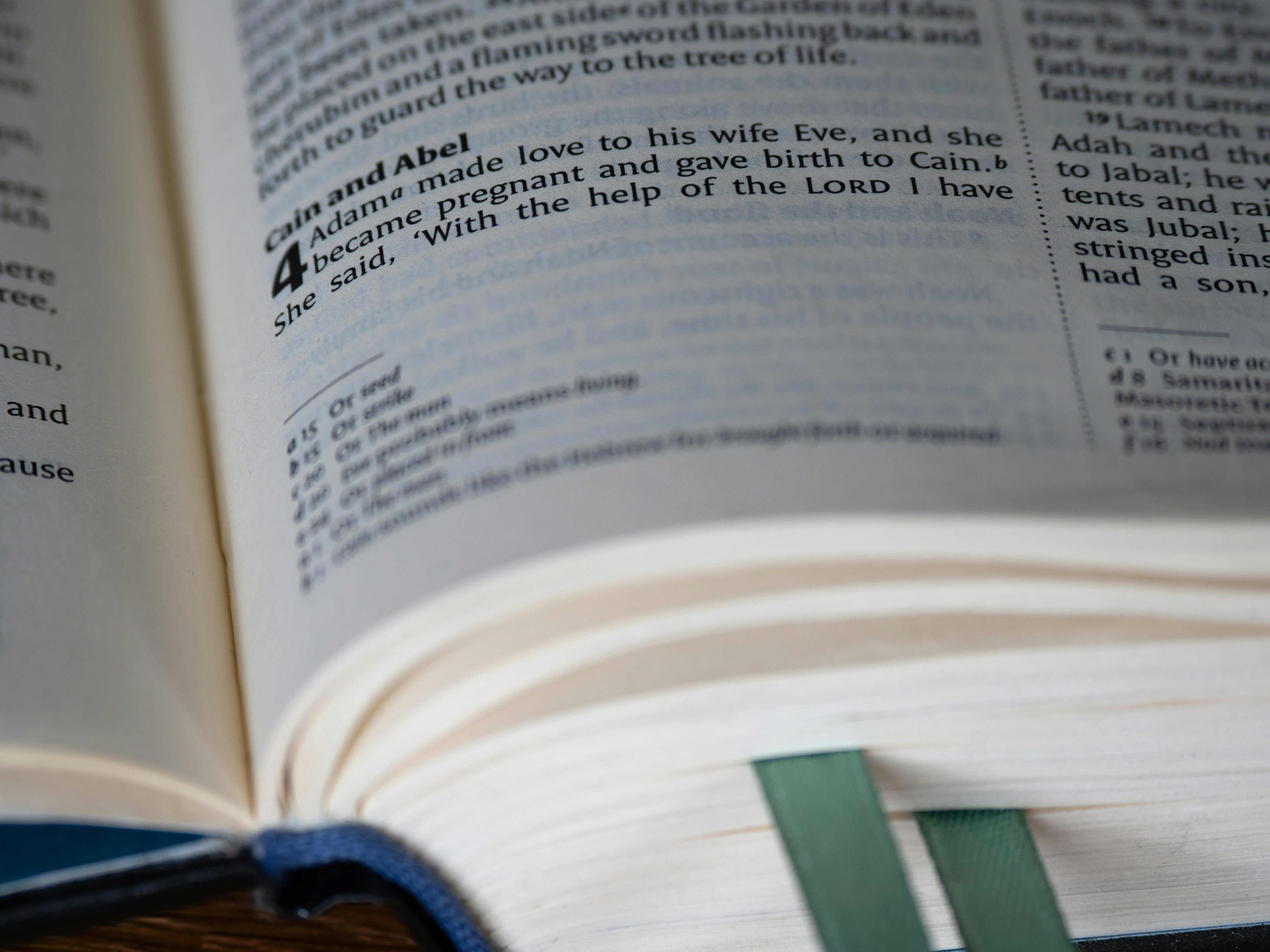 Photo by brett_jordan