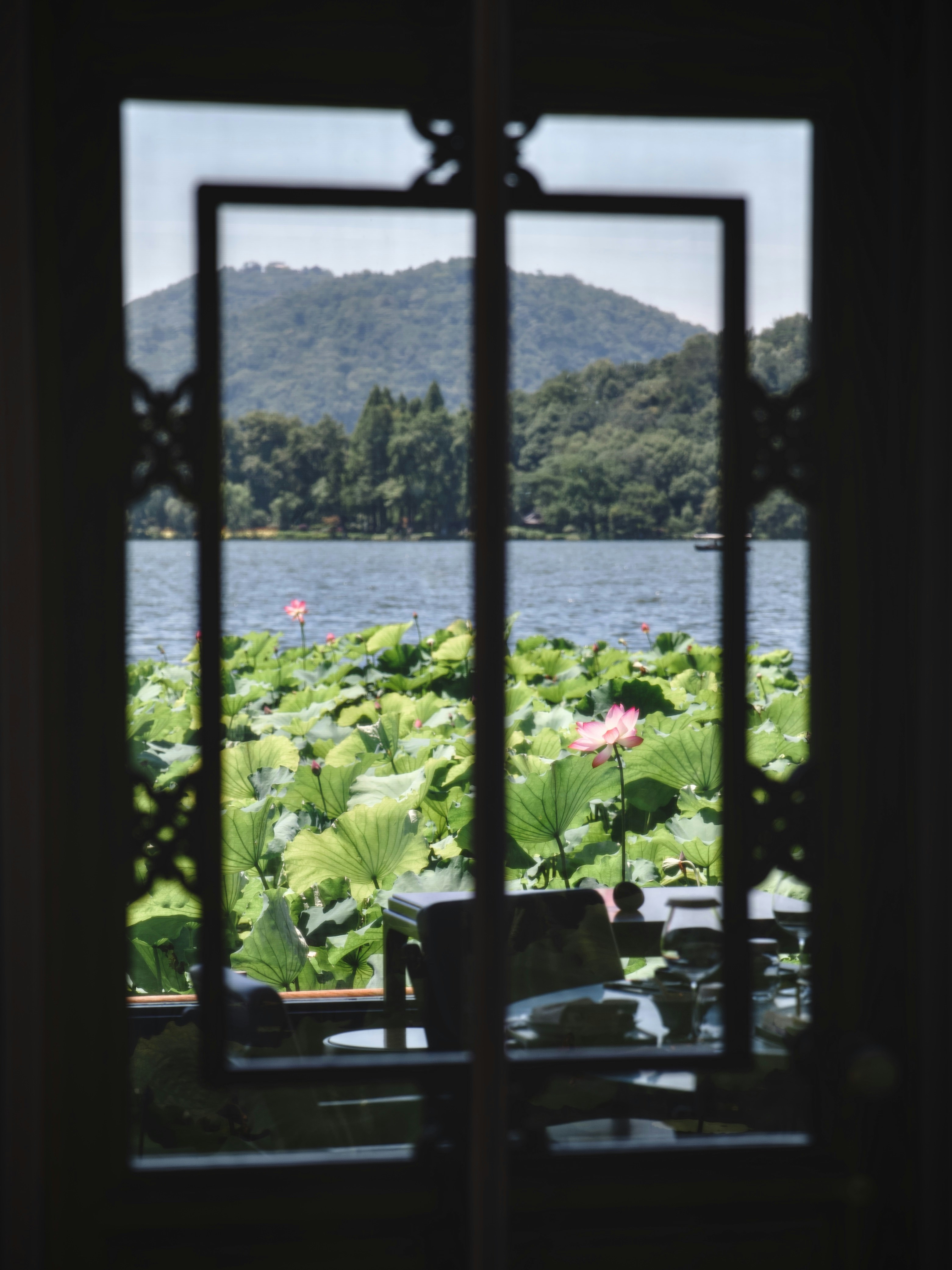 Blick aus dem Fenster auf einen See und die Natur.