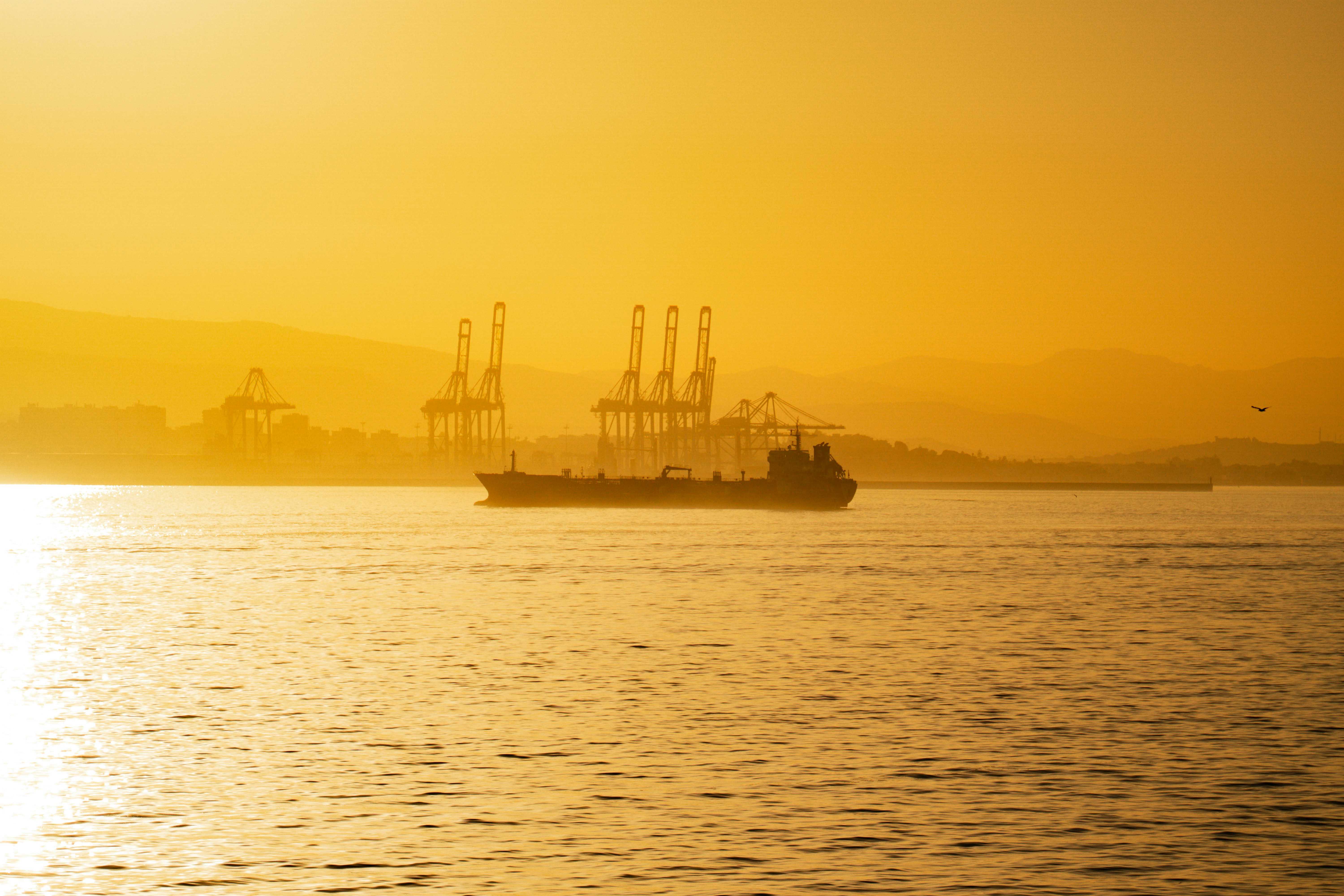 Photo by pixel_guy97