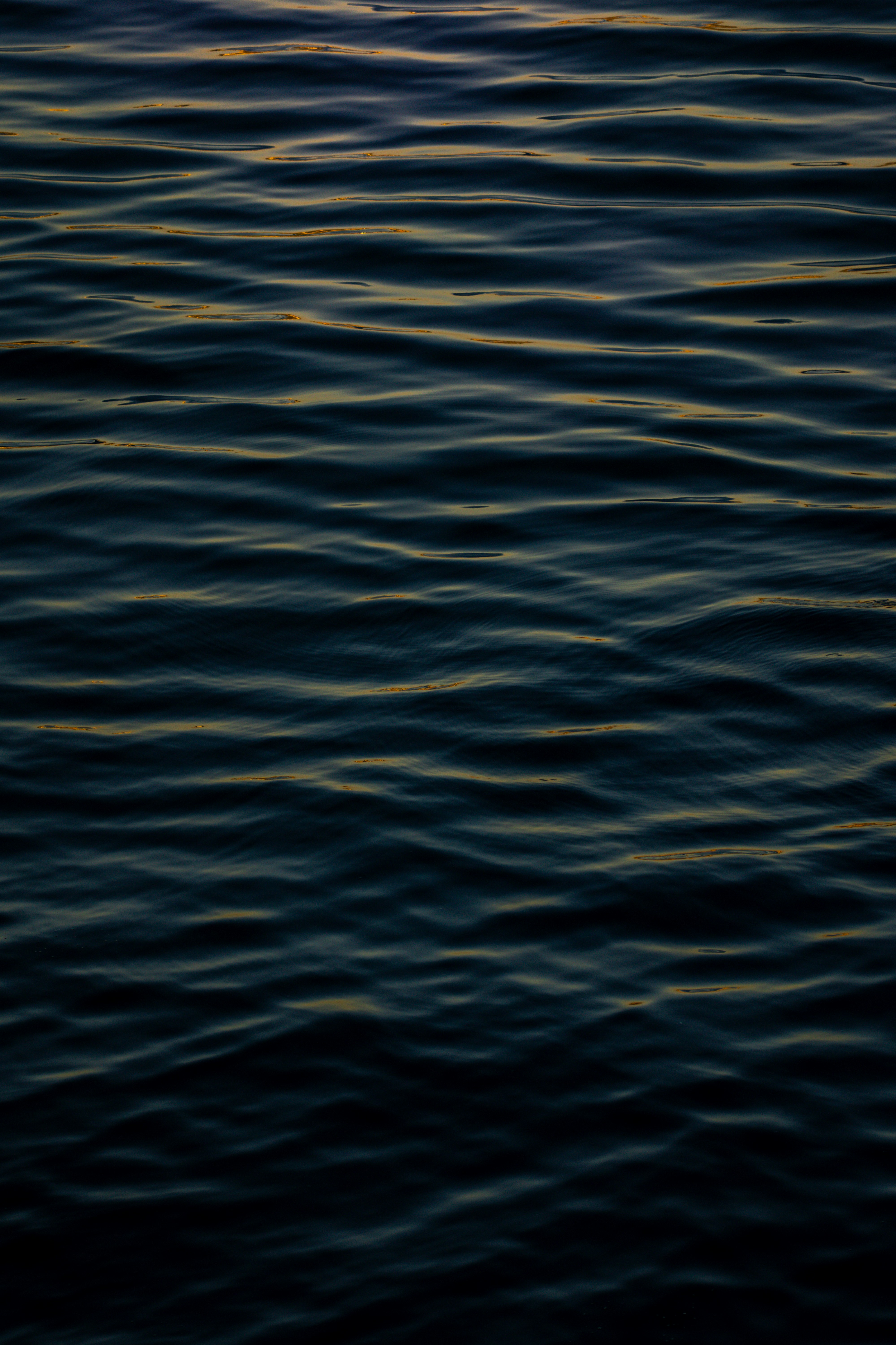 Photo by pixel_guy97