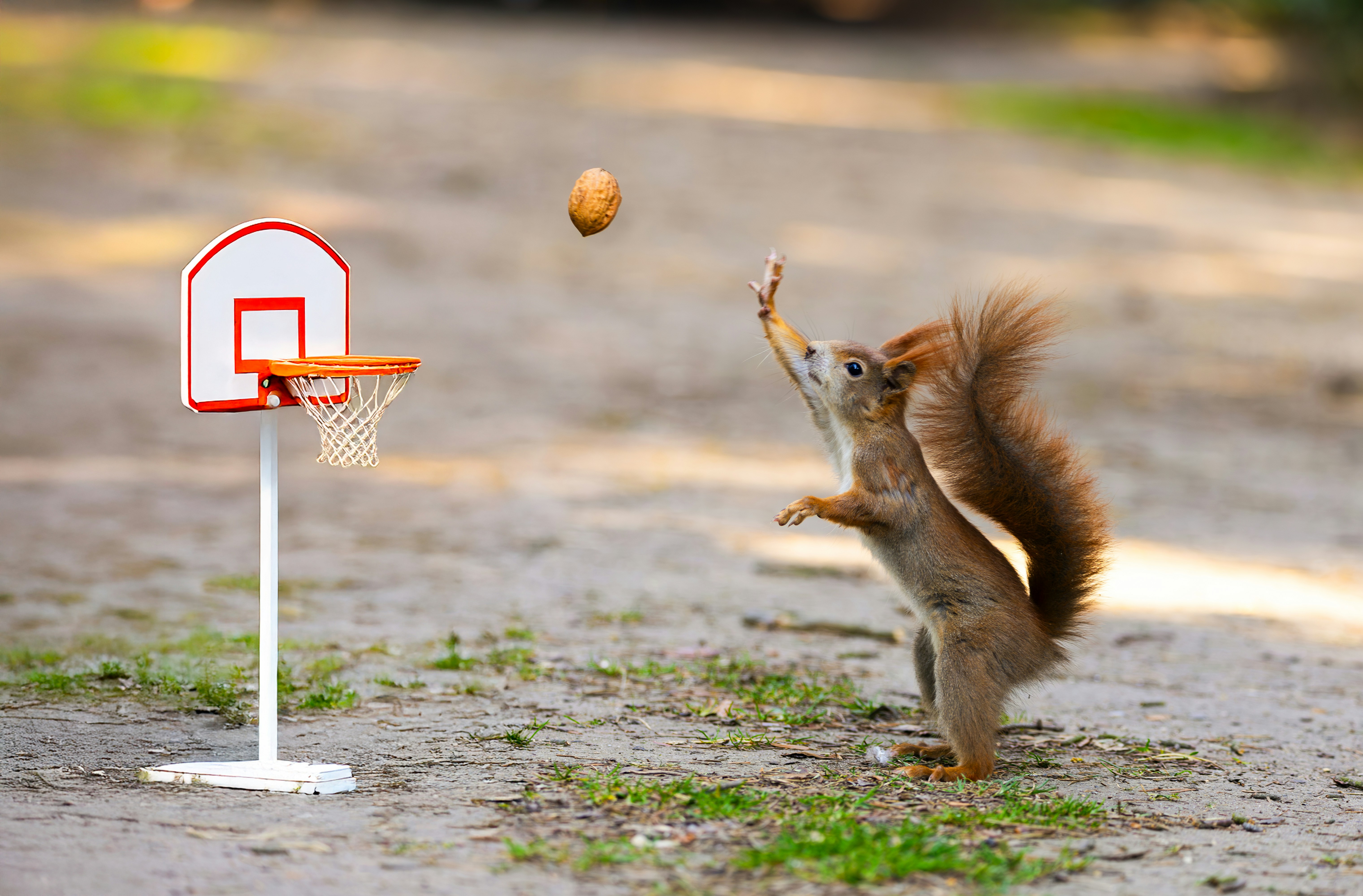 Entrenador dando indicaciones tácticas en un tiempo muerto