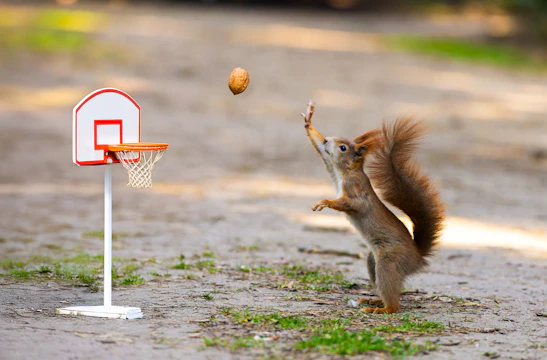 A squirrel plays basketball with an acorn.