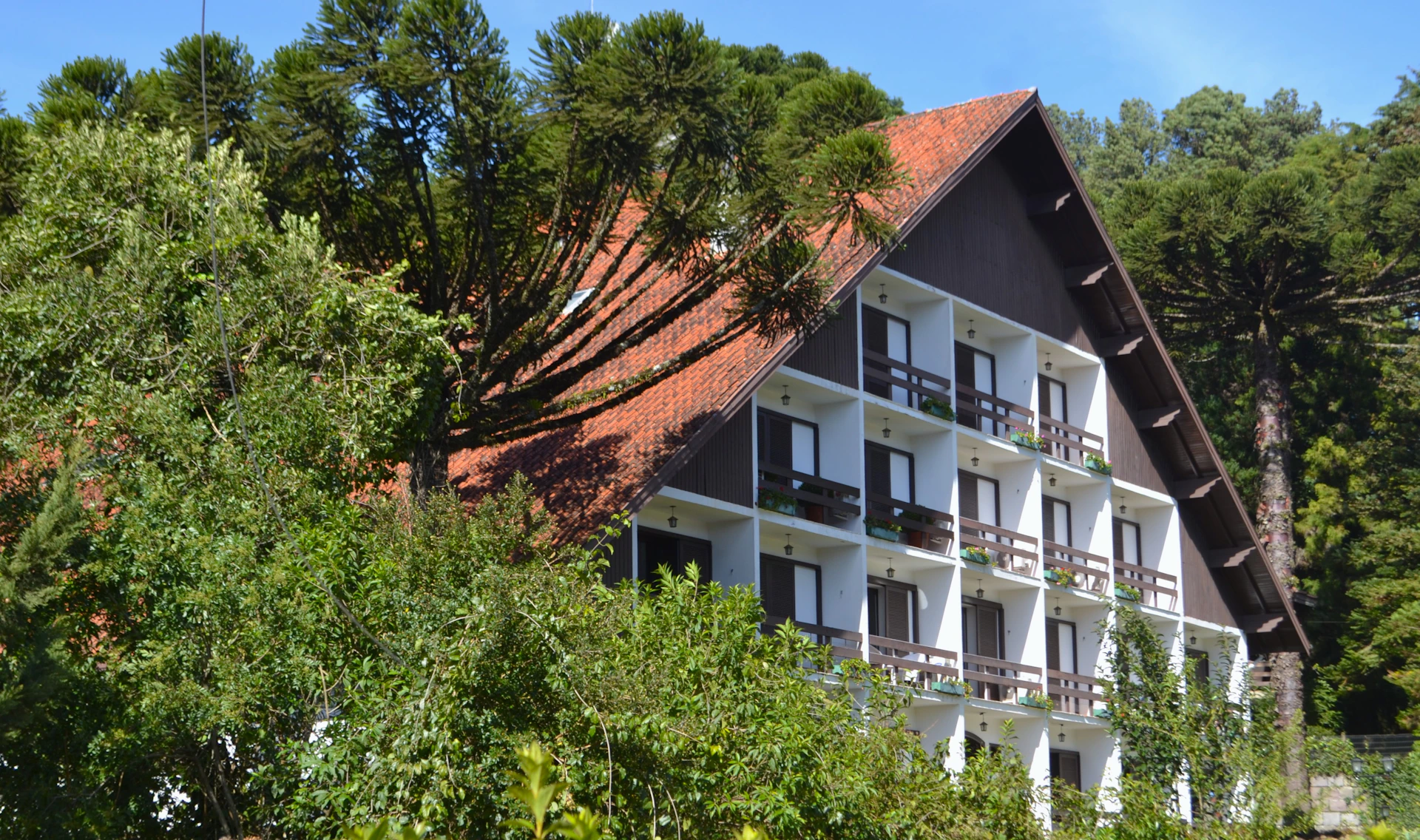 Hotel nestled among lush trees under a blue sky.