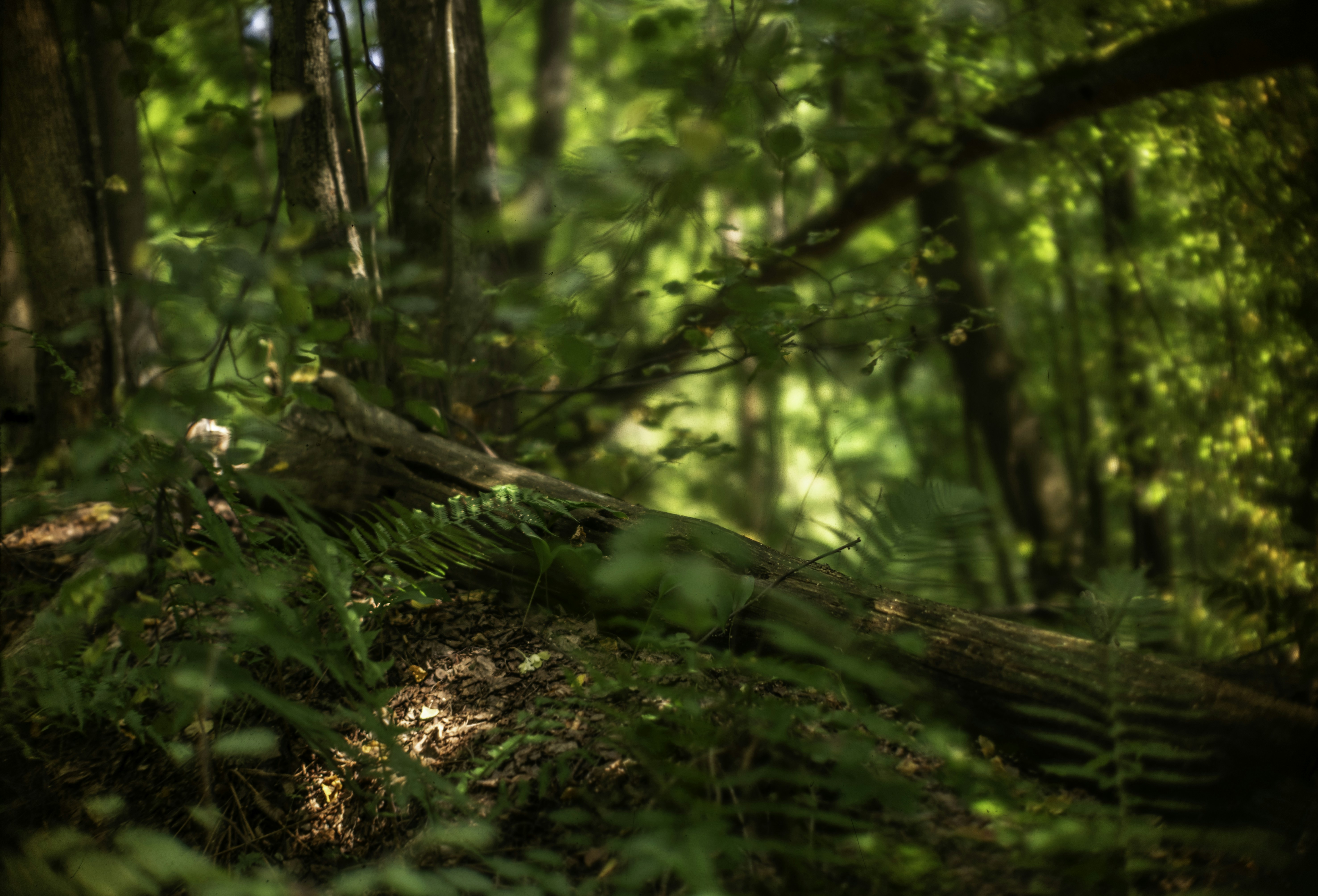 Photo by andrilliardbond