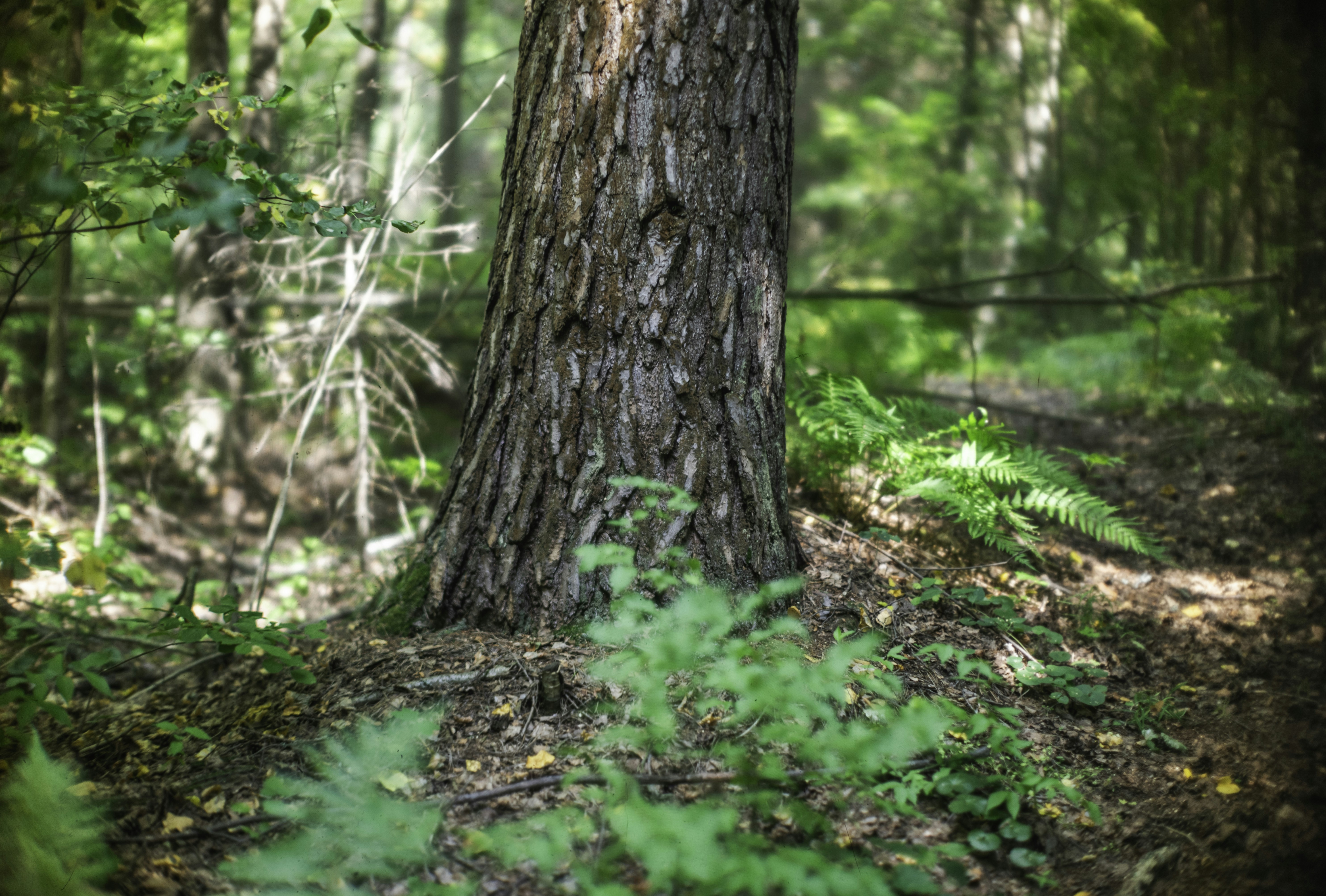 Photo by andrilliardbond