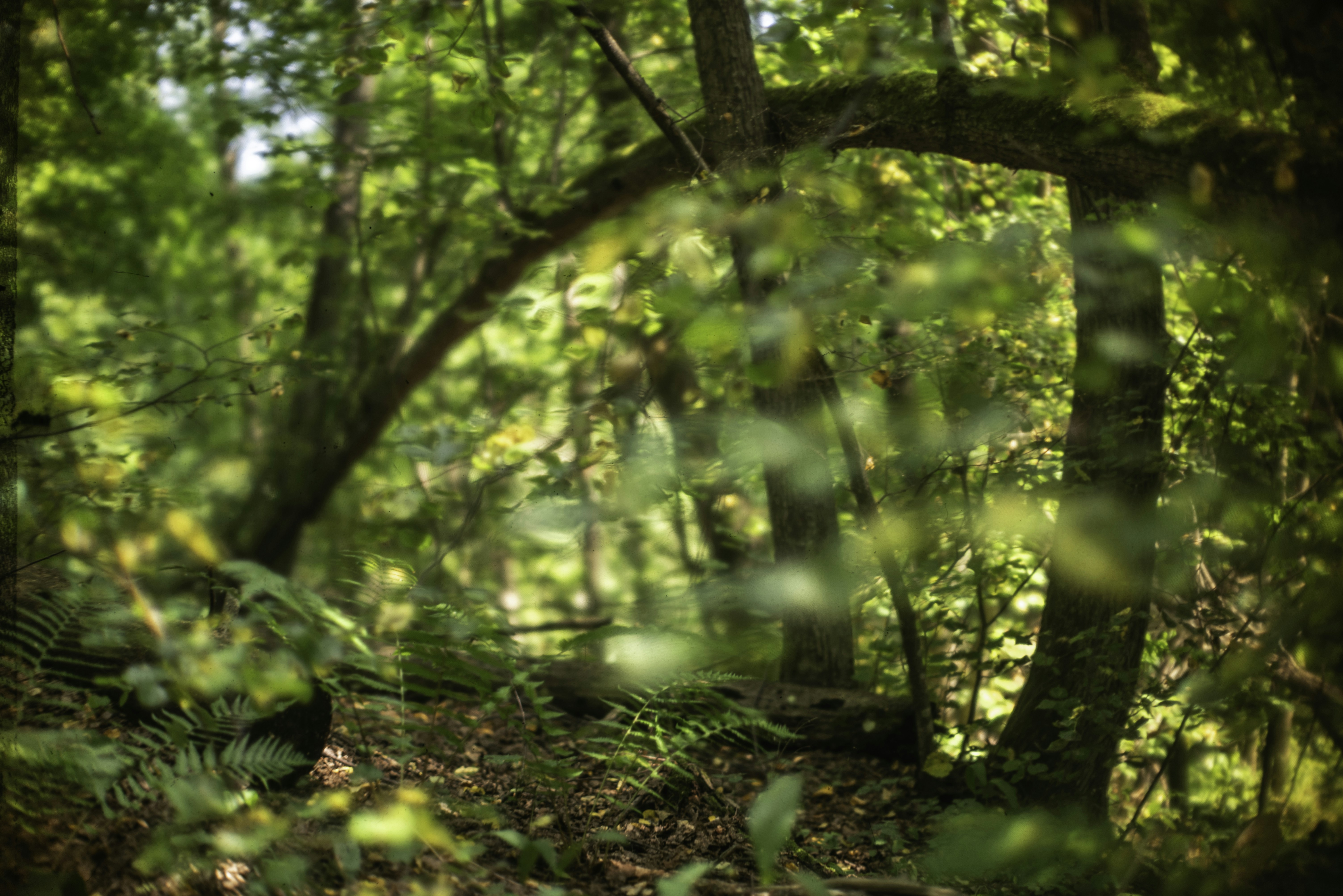 Photo by andrilliardbond