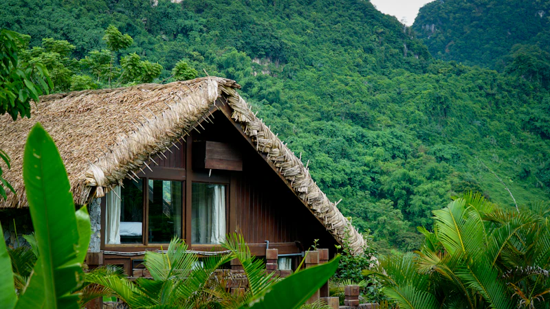 Eco cabin in the forest