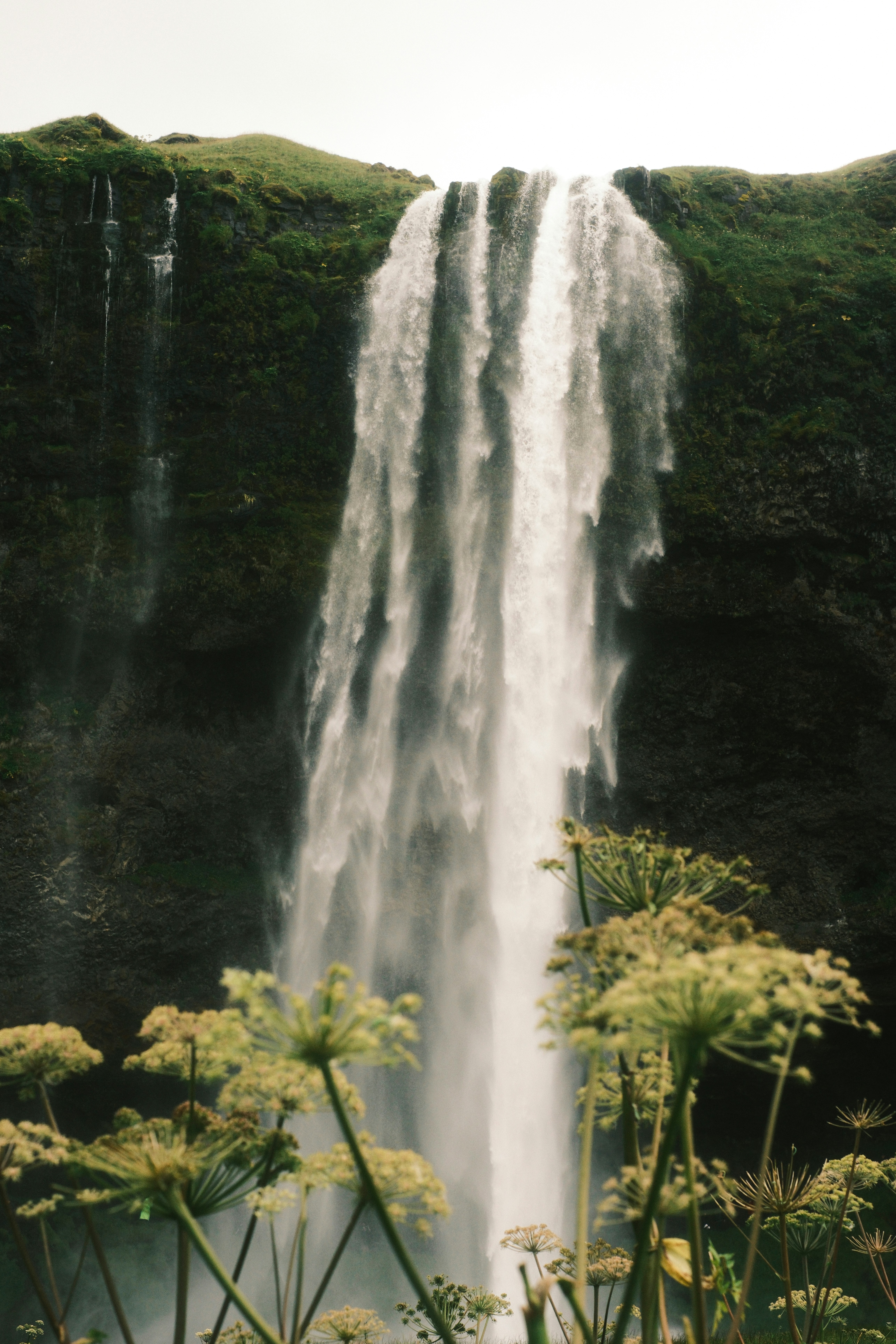 Photo by ginkgoshutter