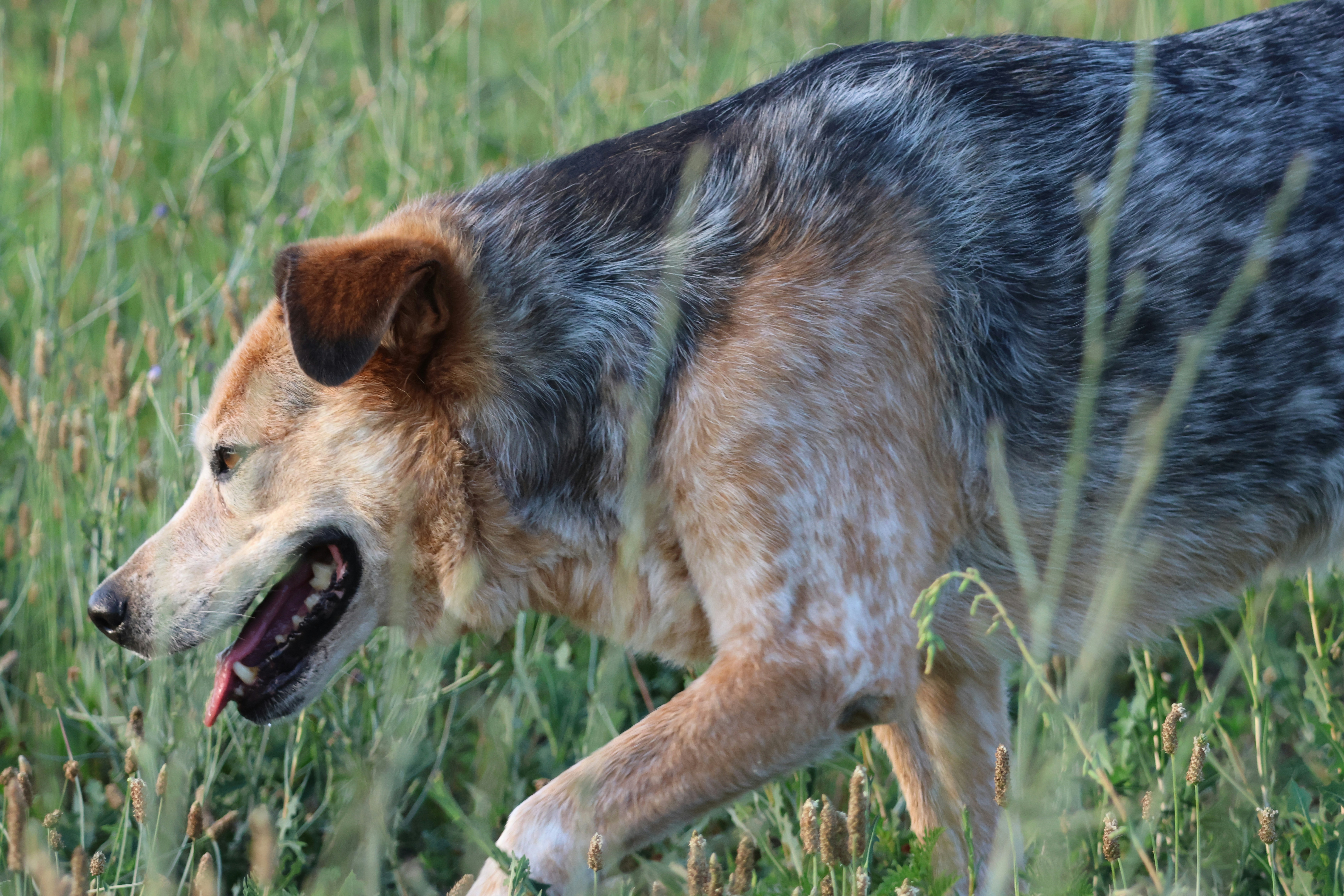 Photo by cornthechicken