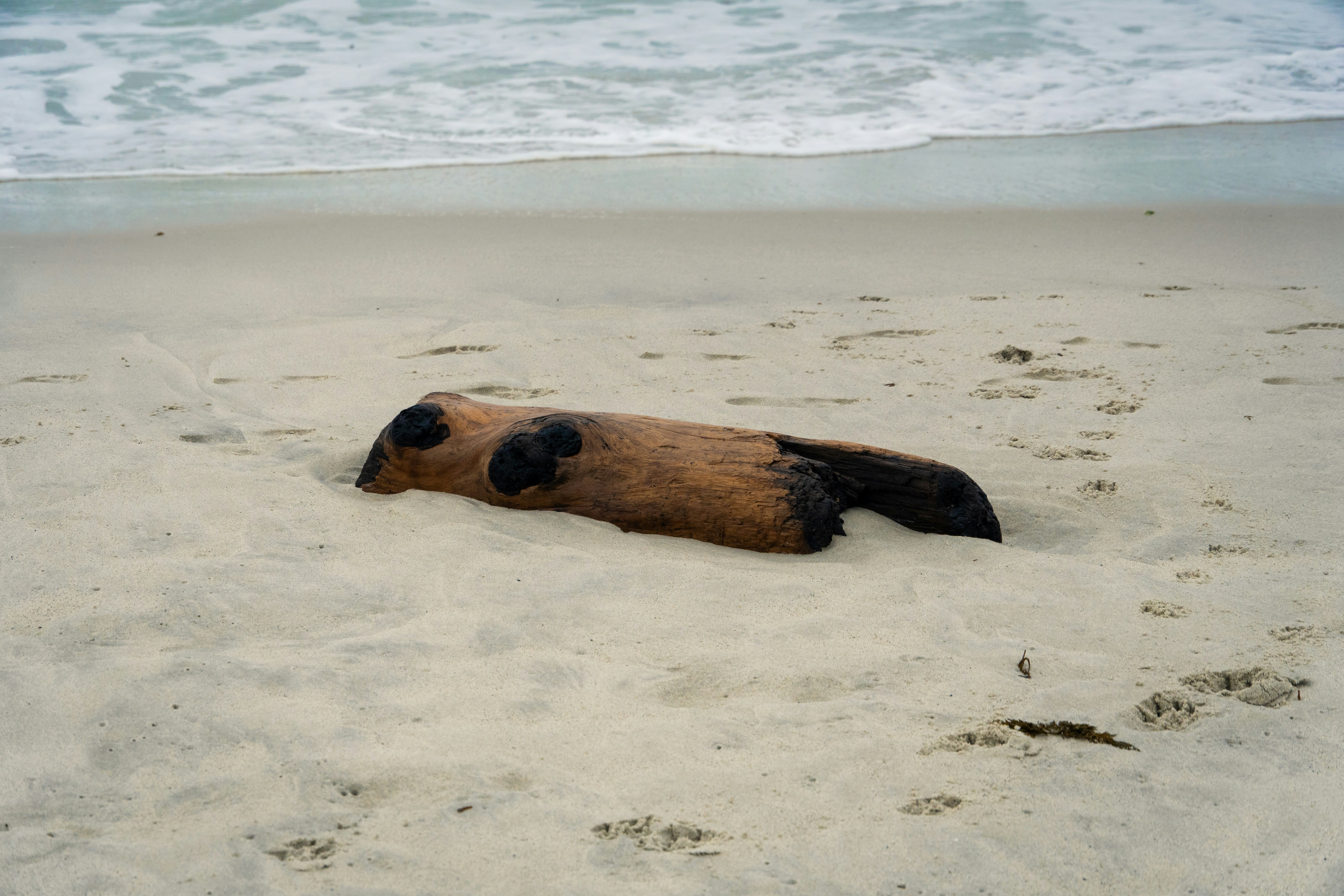 Photo by _itstheobraddock