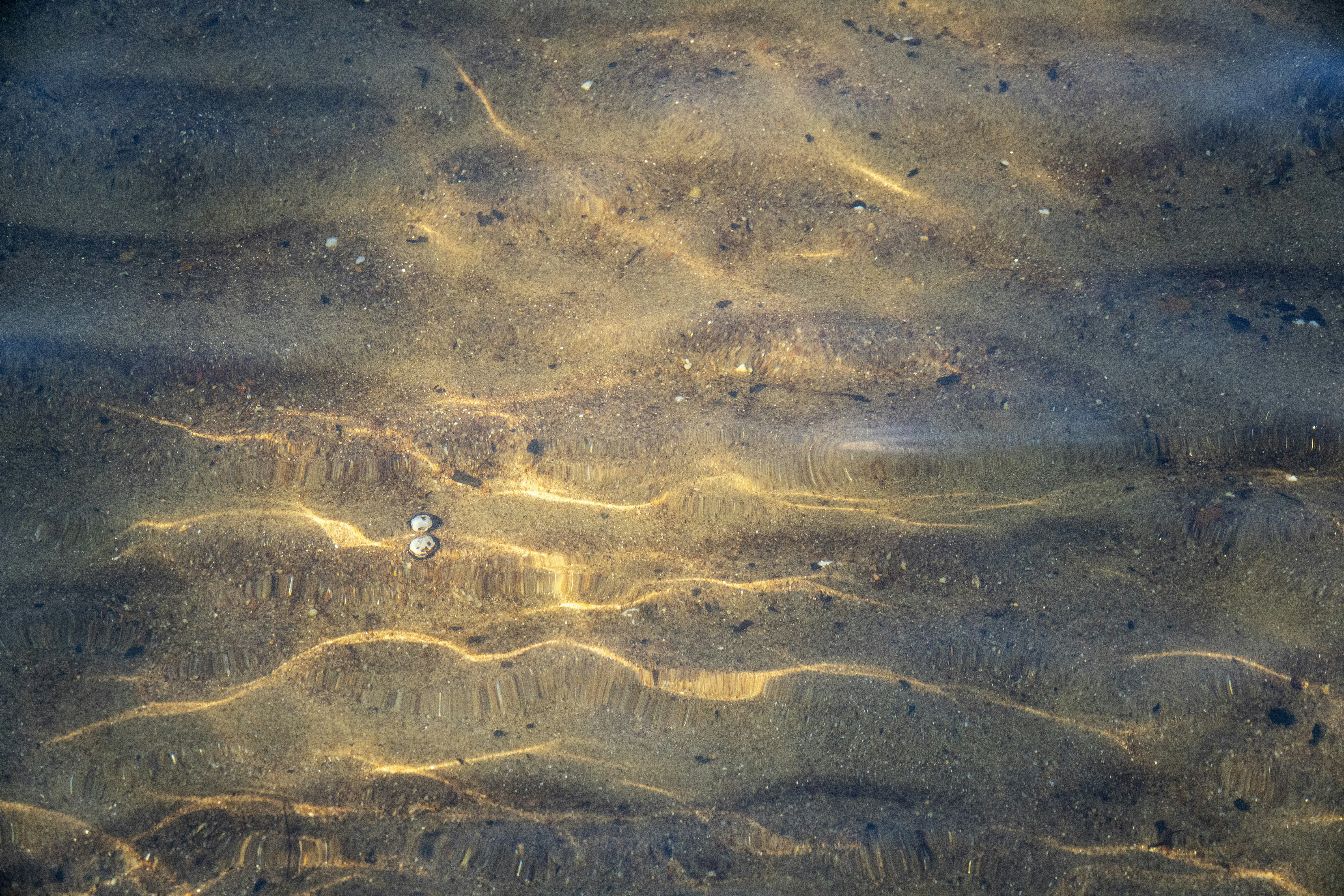 Photo by _itstheobraddock