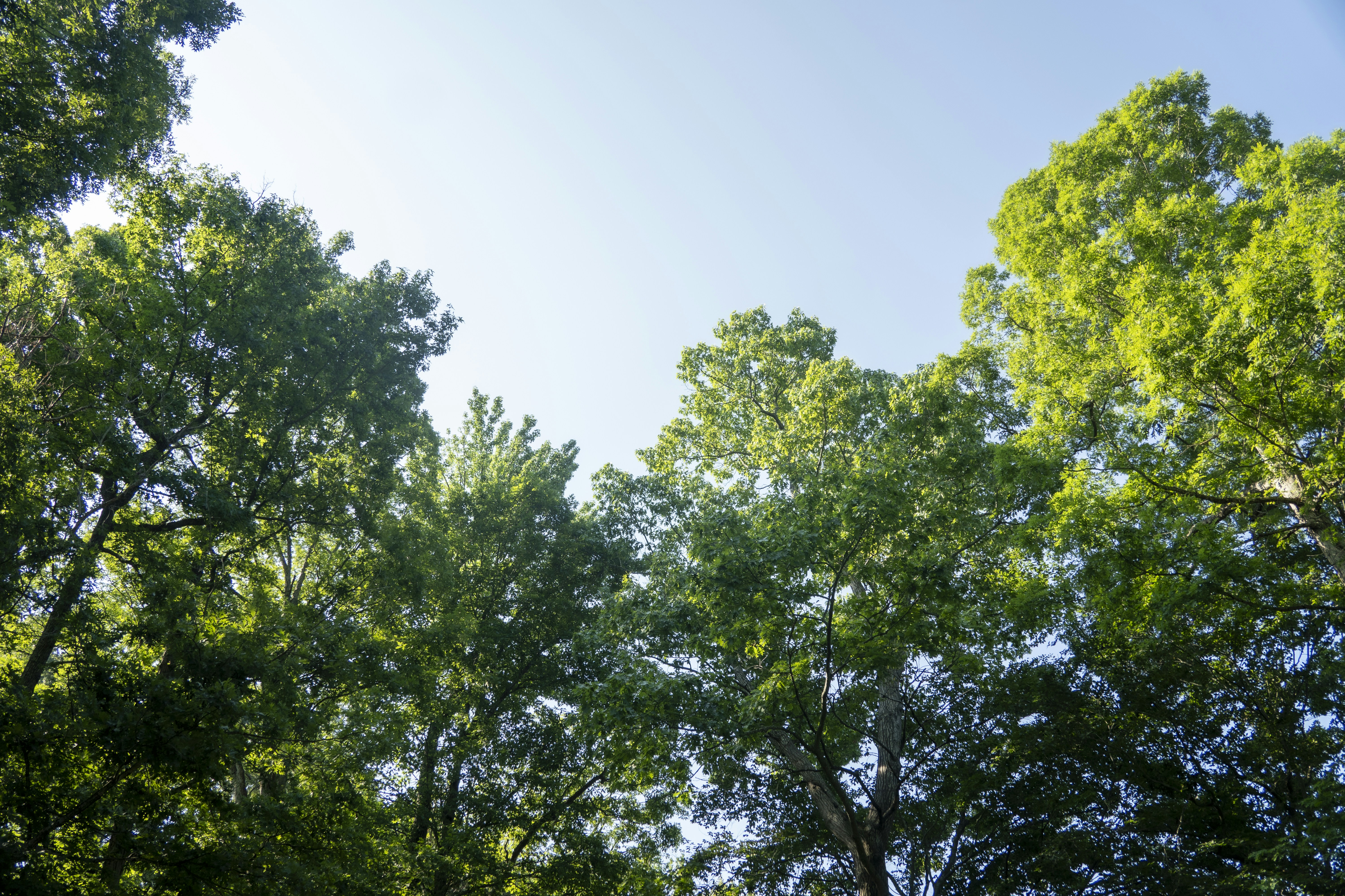 Photo by _itstheobraddock