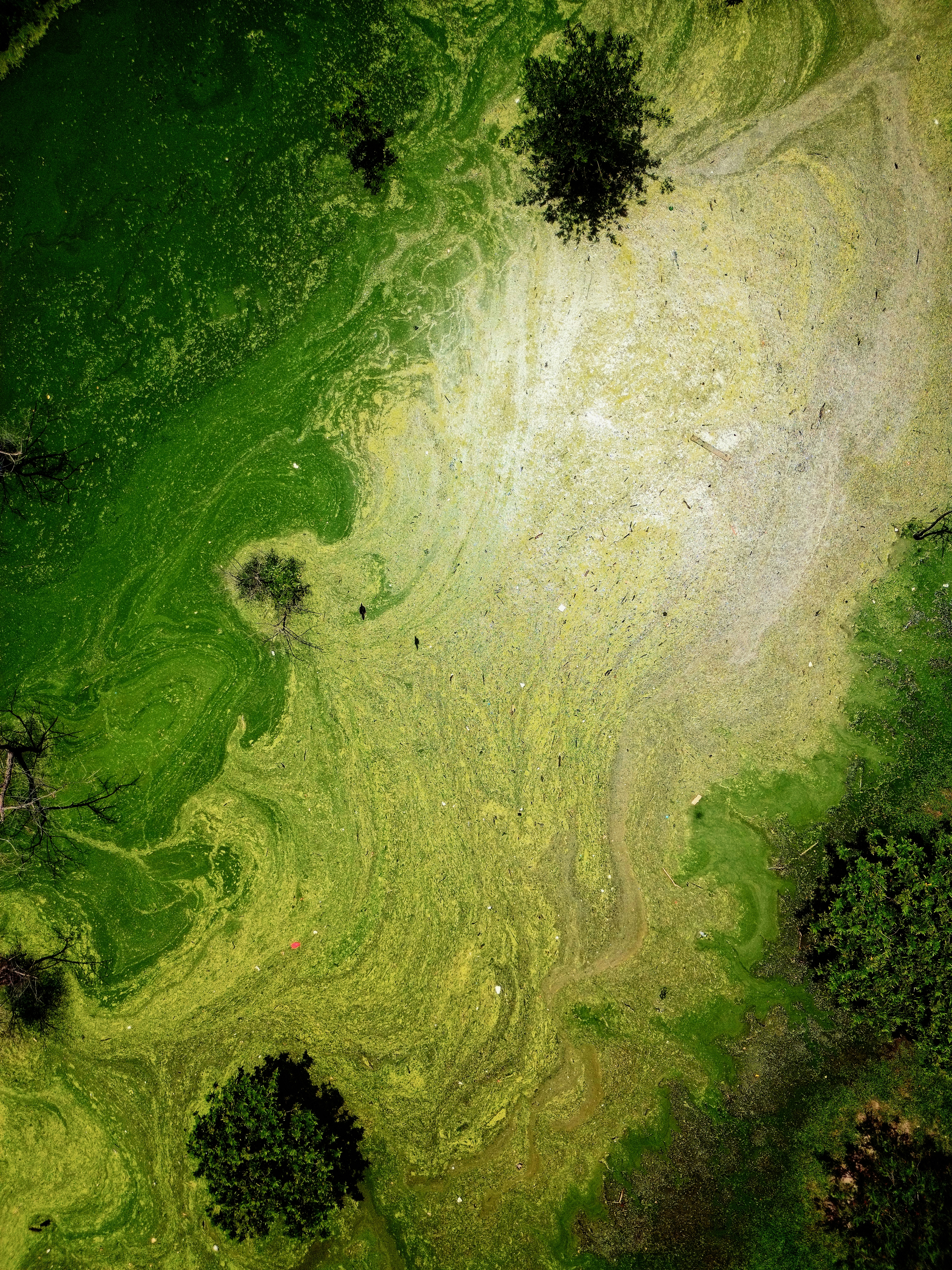 Photo by holawalterlee