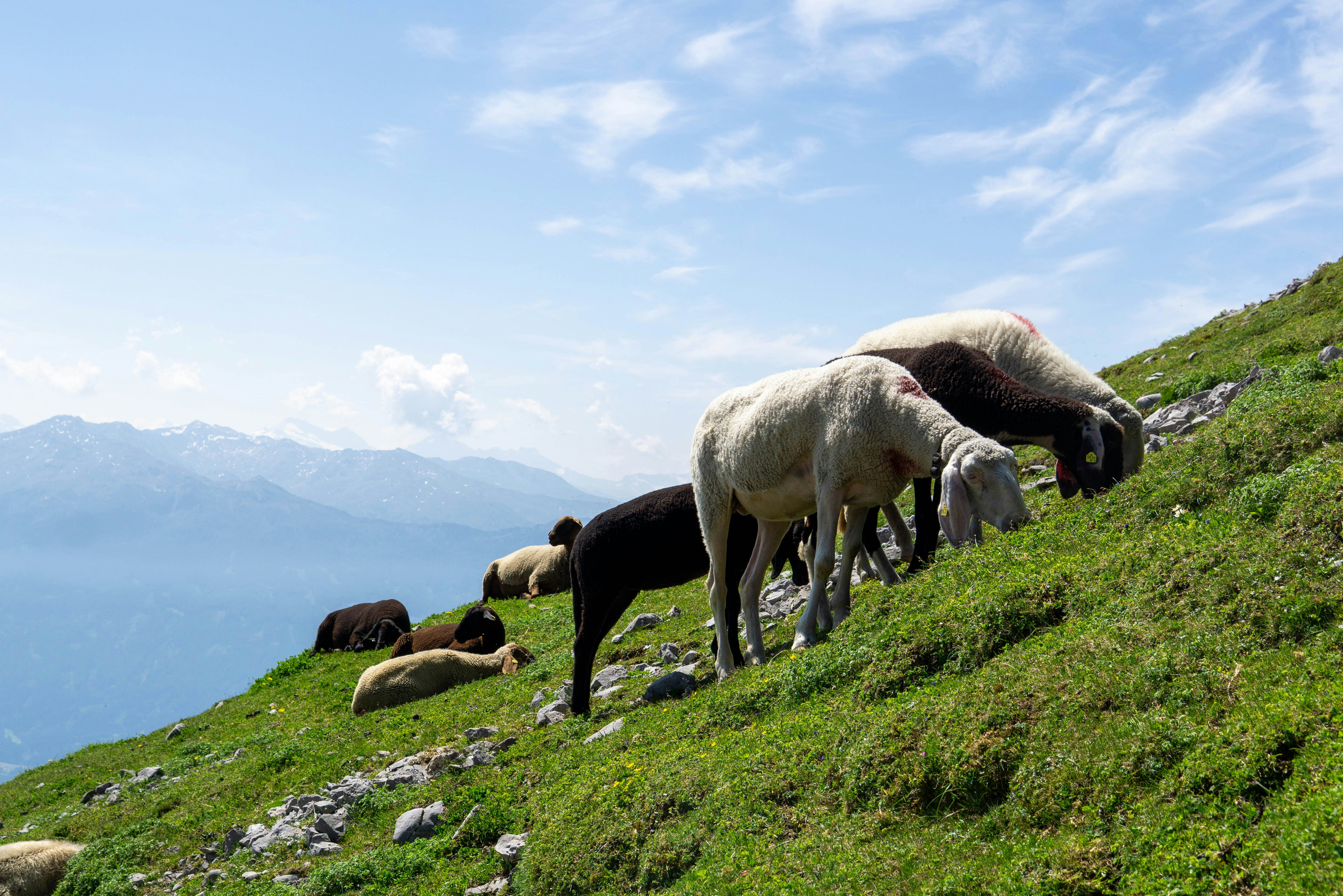 Photo by rafa_jimenez