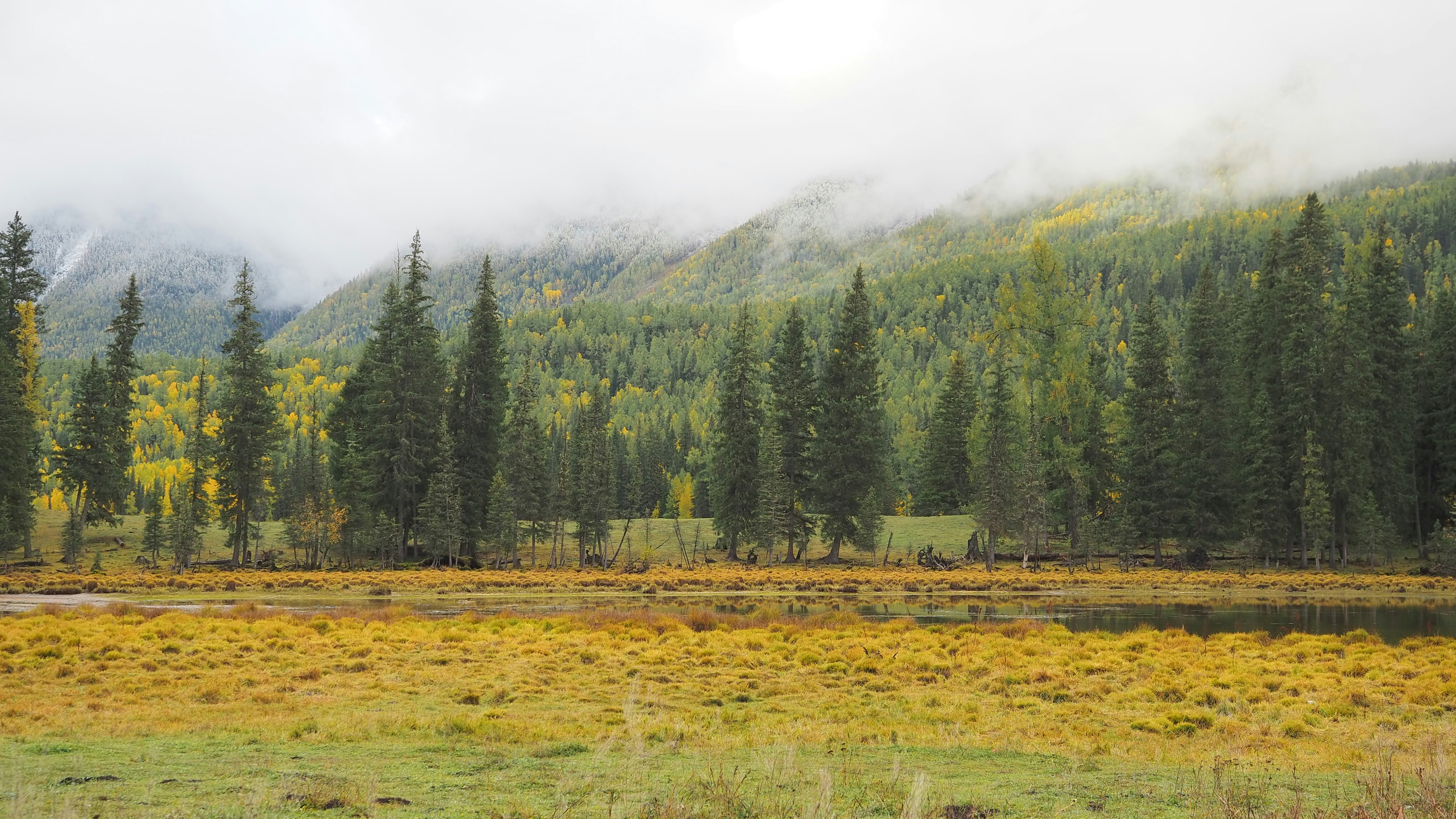 Photo by mianmian1997