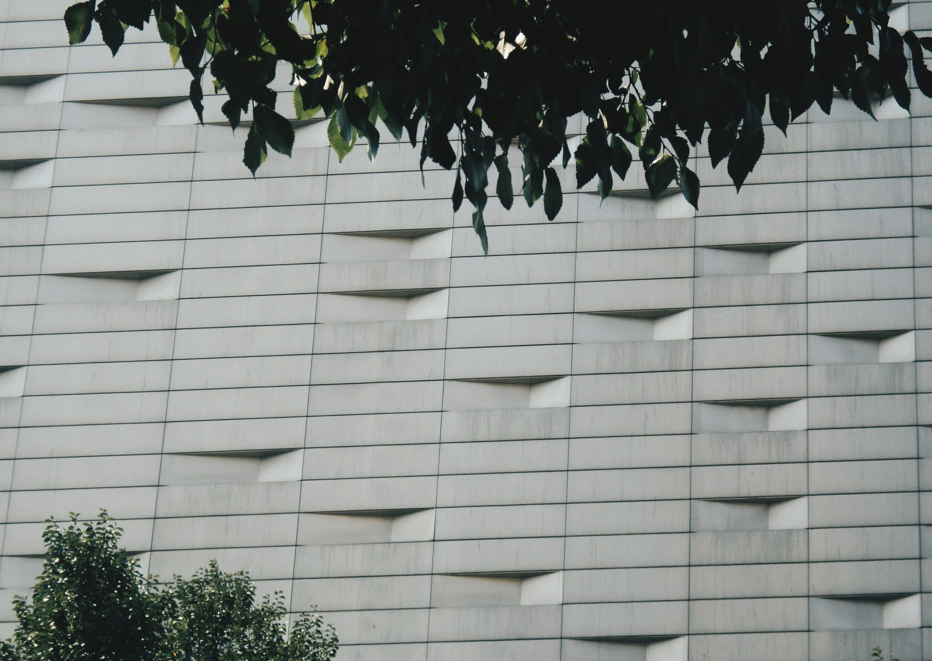 Photo by mdrezajalali