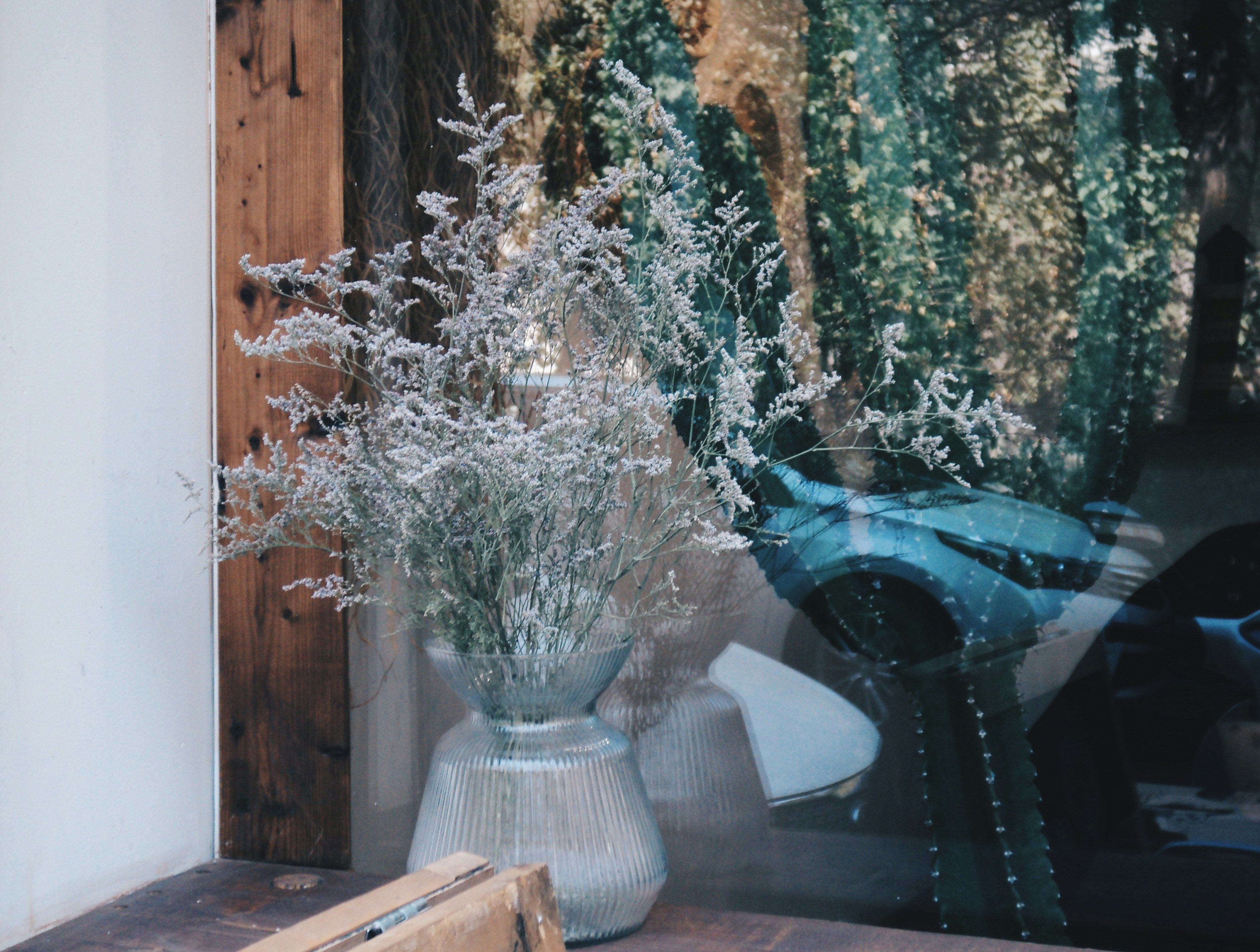 Photo by mdrezajalali