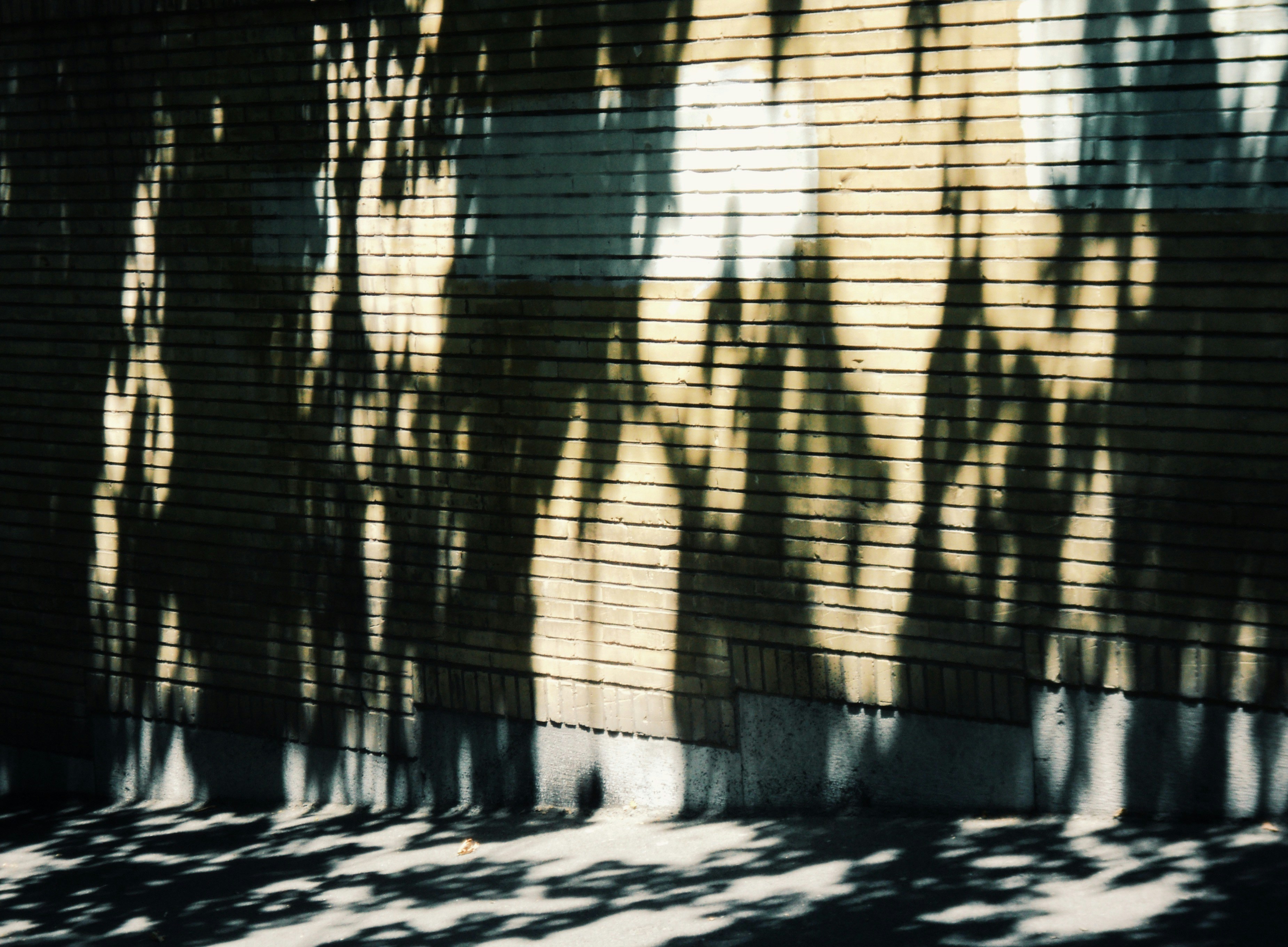 Photo by mdrezajalali