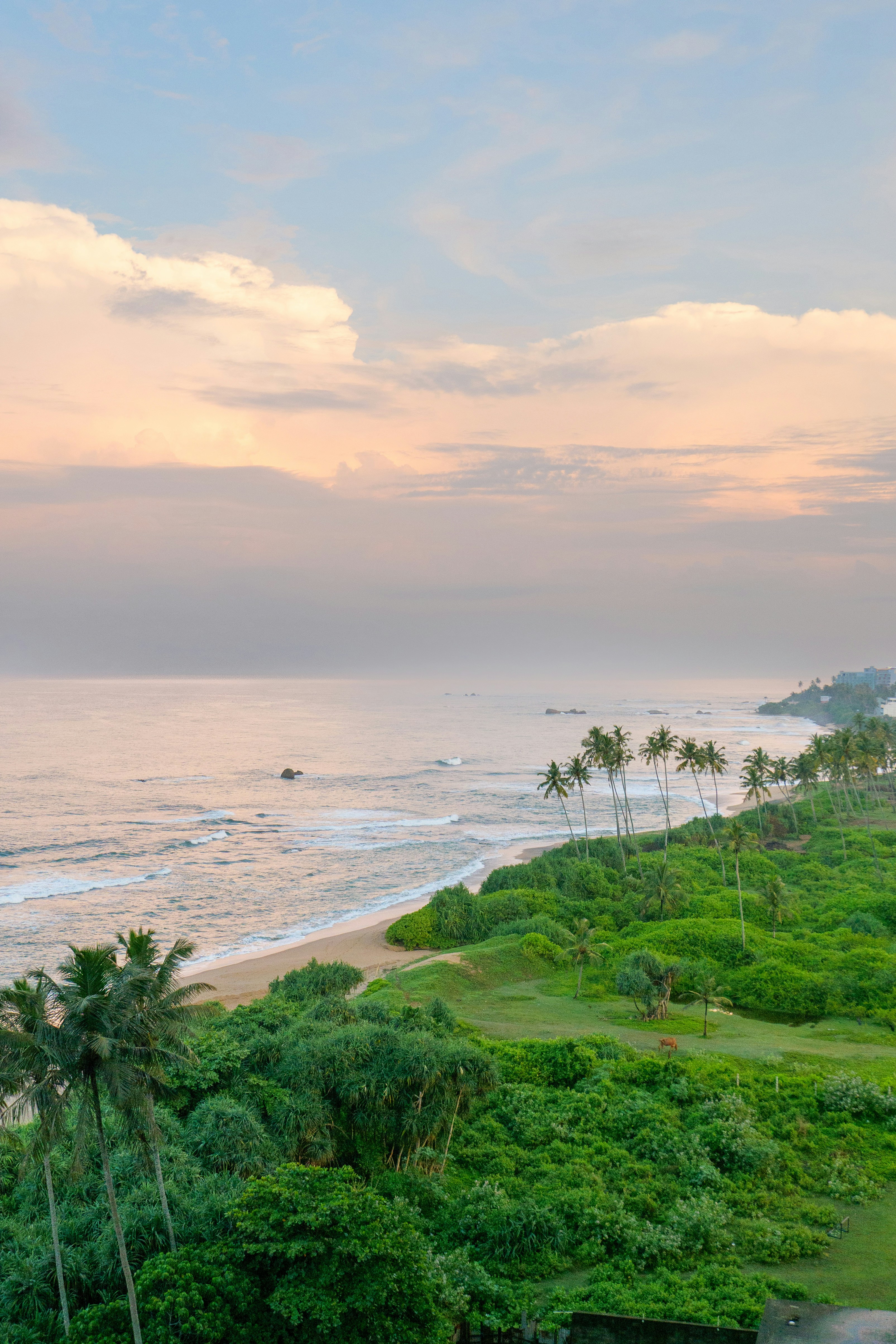 Photo by stockbirken