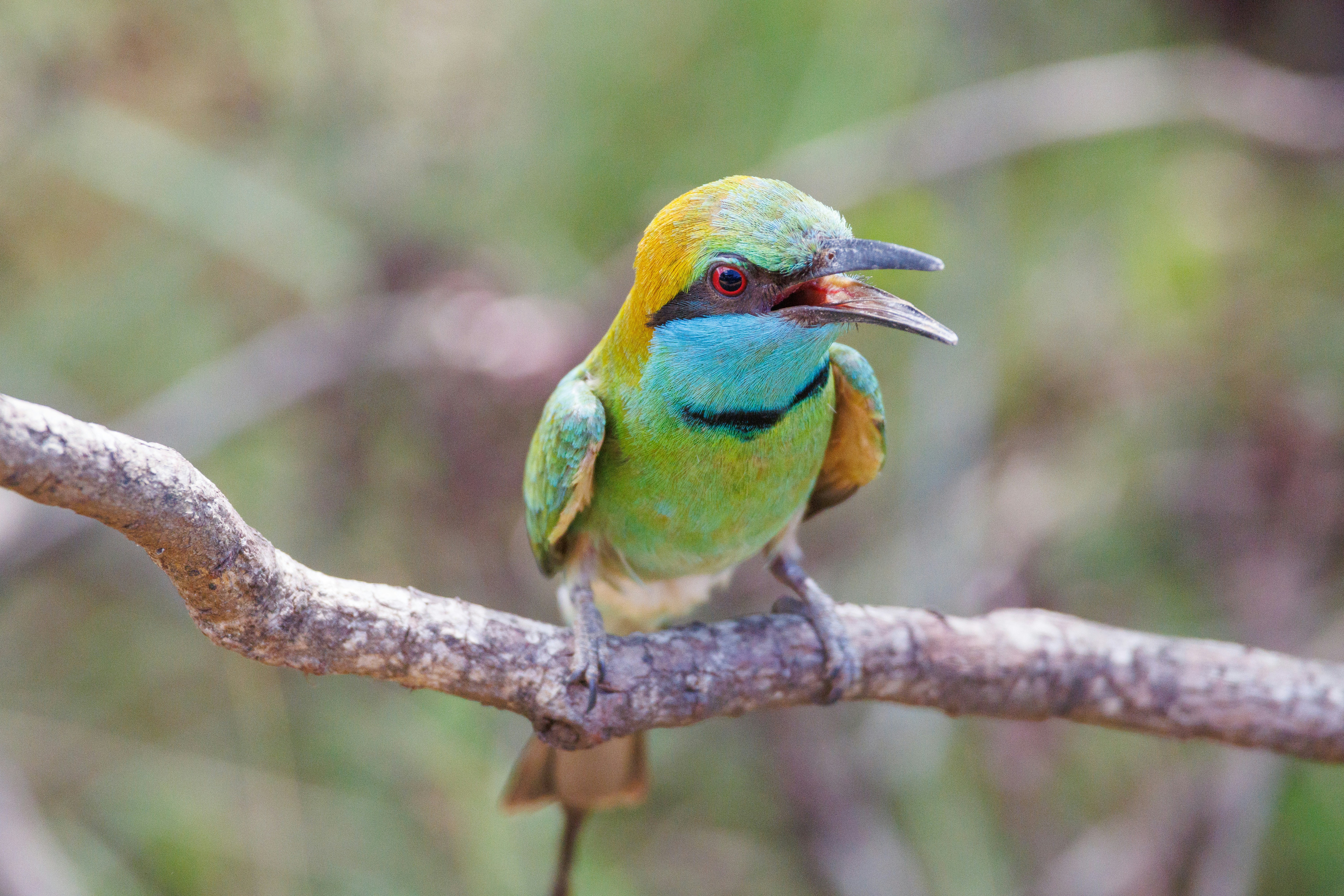 Photo by stockbirken