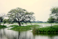 Best Night Food Markets in Bharatpur for Eating Late and Eating Well