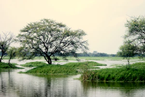 Bharatpur