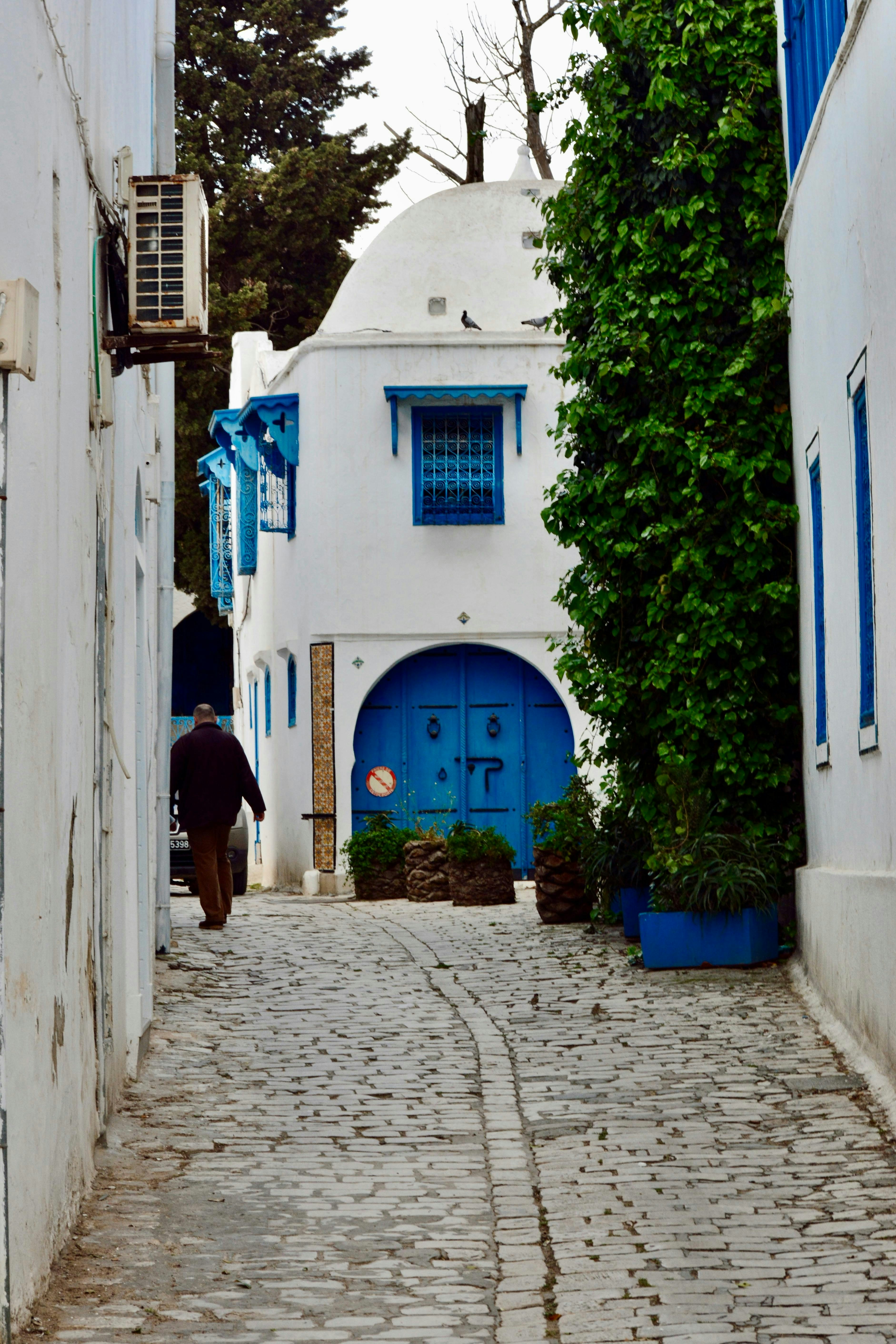 A person walks down a quaint alley.