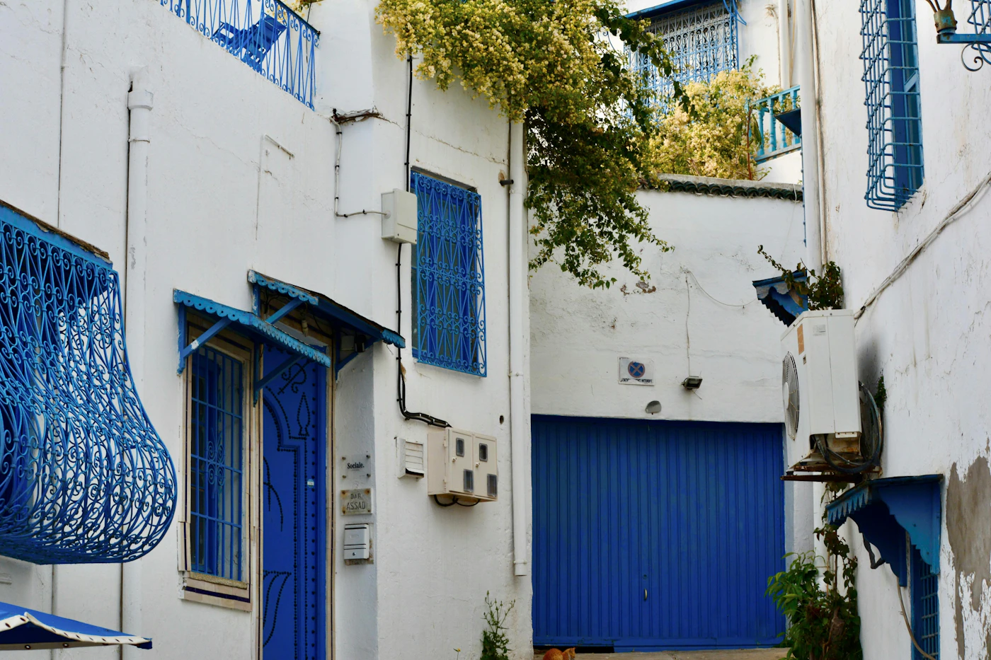 Tunis