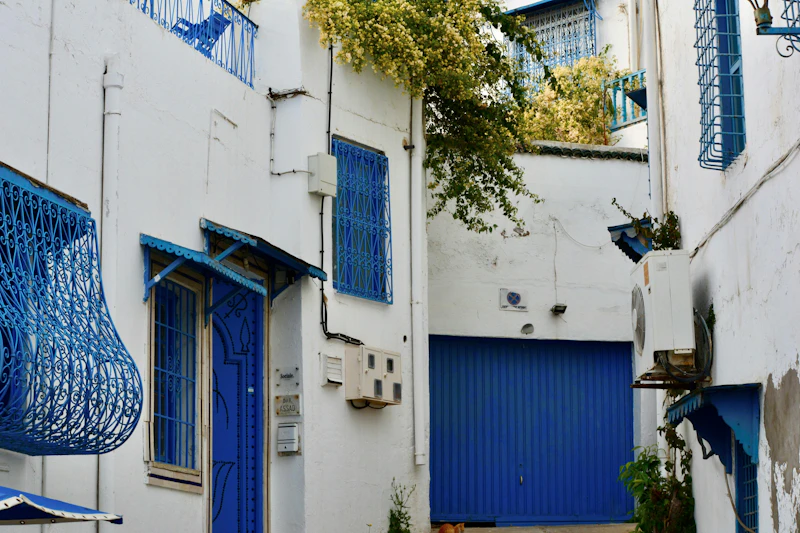 Best Neighborhoods to Stay in Tunis: Where to Book and What to Expect