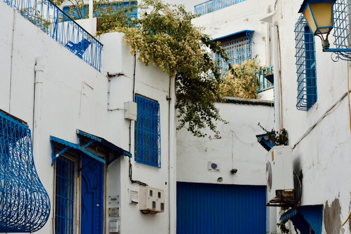 Best Airbnb Neighborhoods