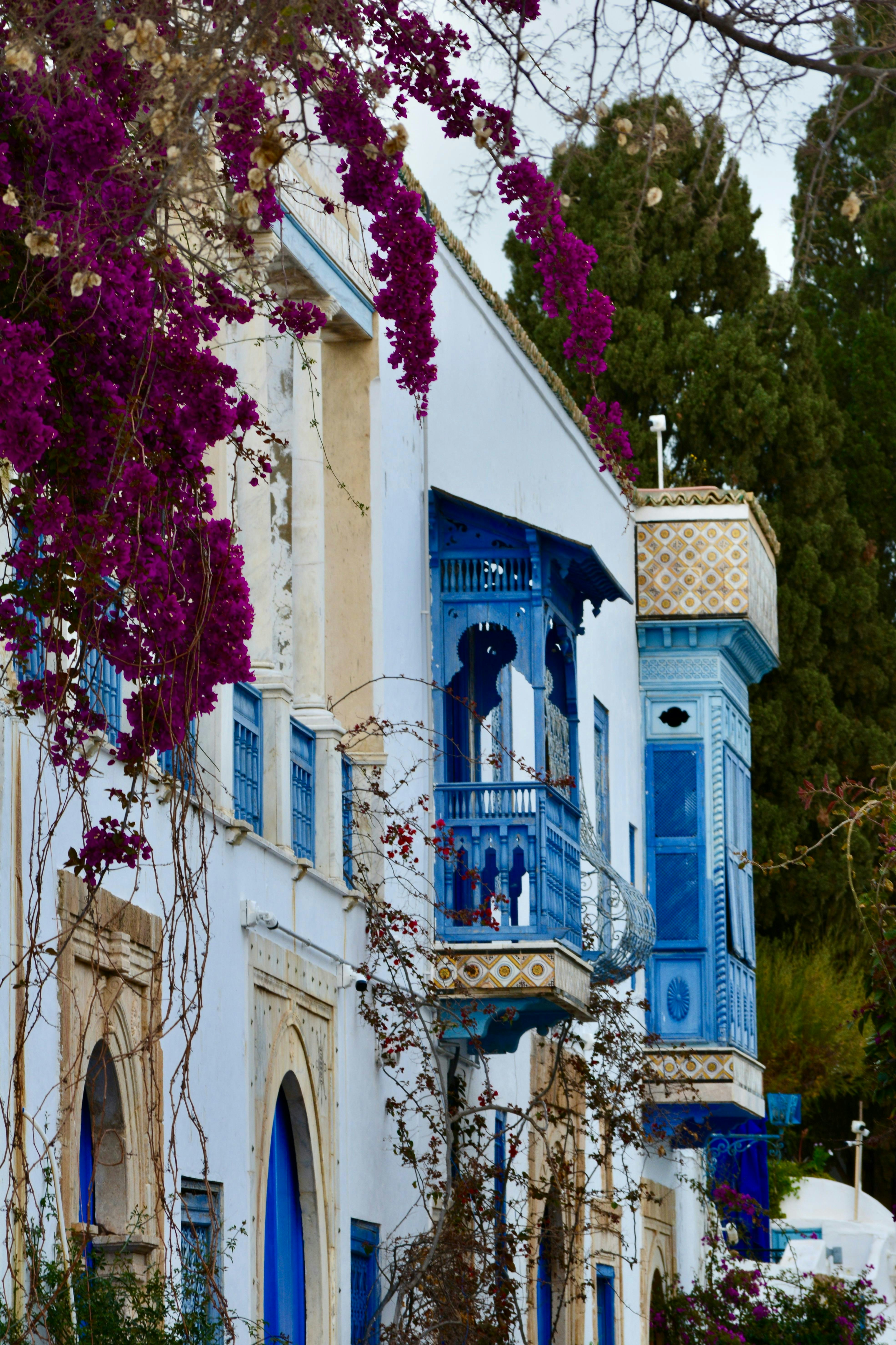 Gastfreundliches Gästehaus in Tunis mit traditioneller Dekoration