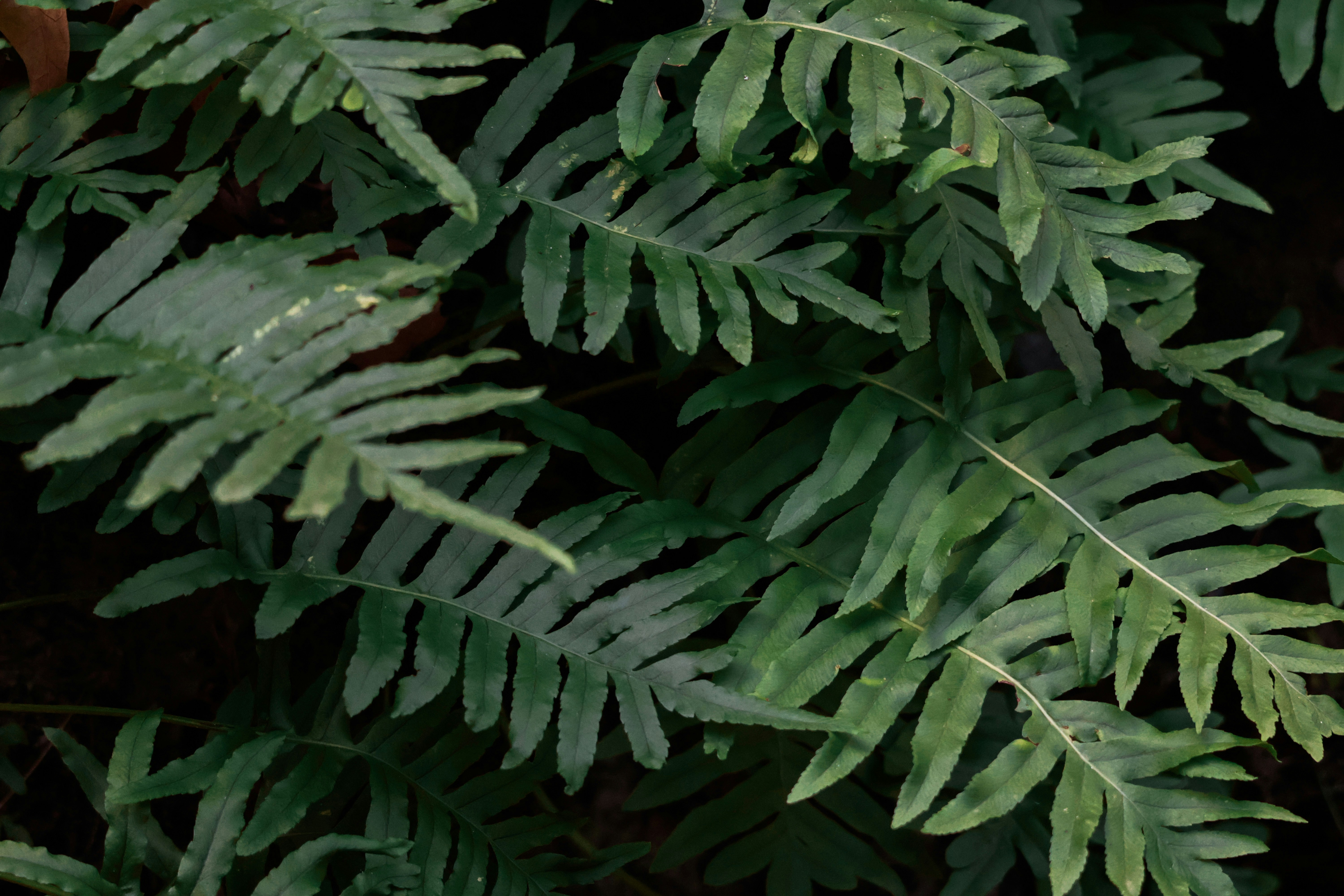 Photo by burakemrecr