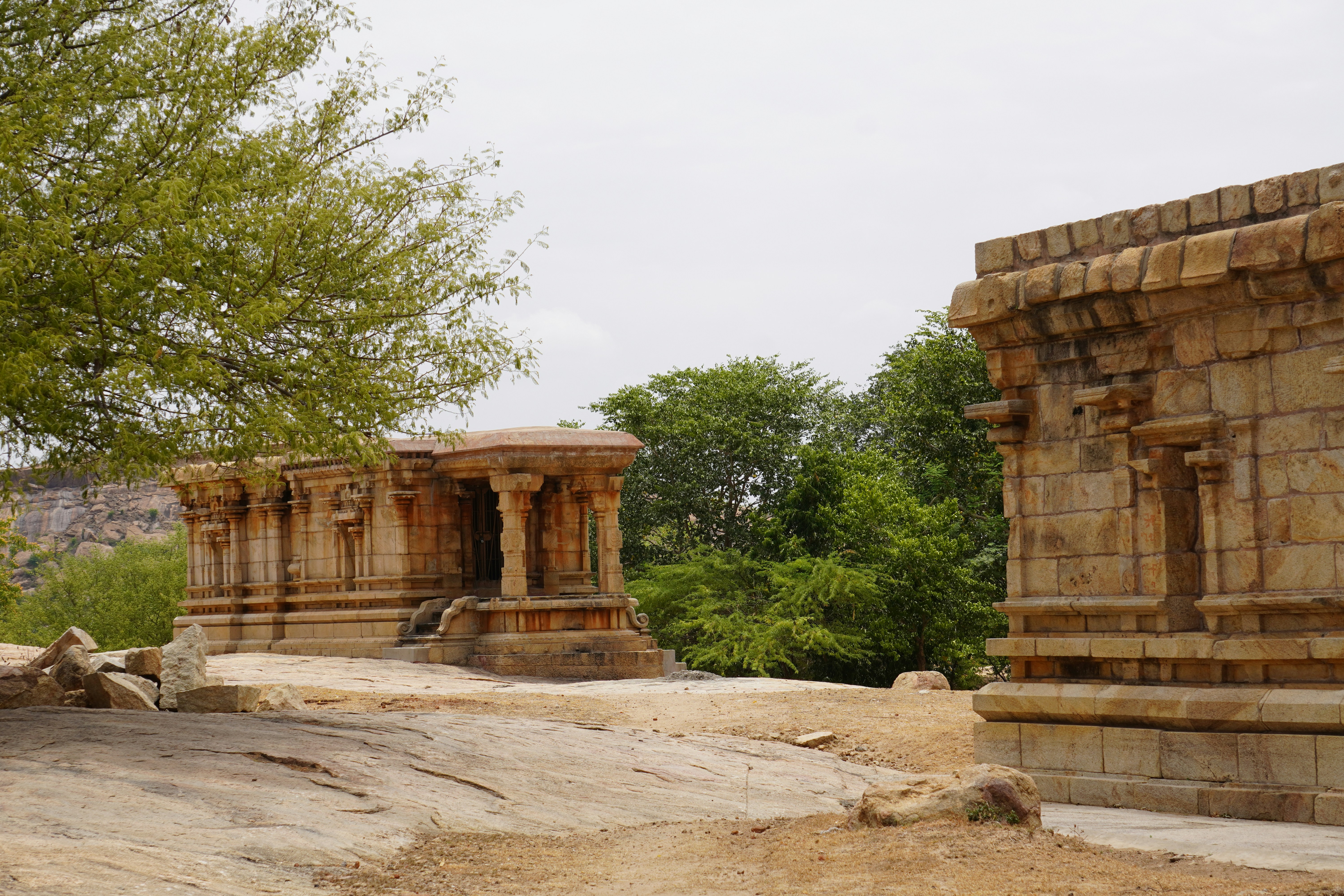 Photo by rajgajendran