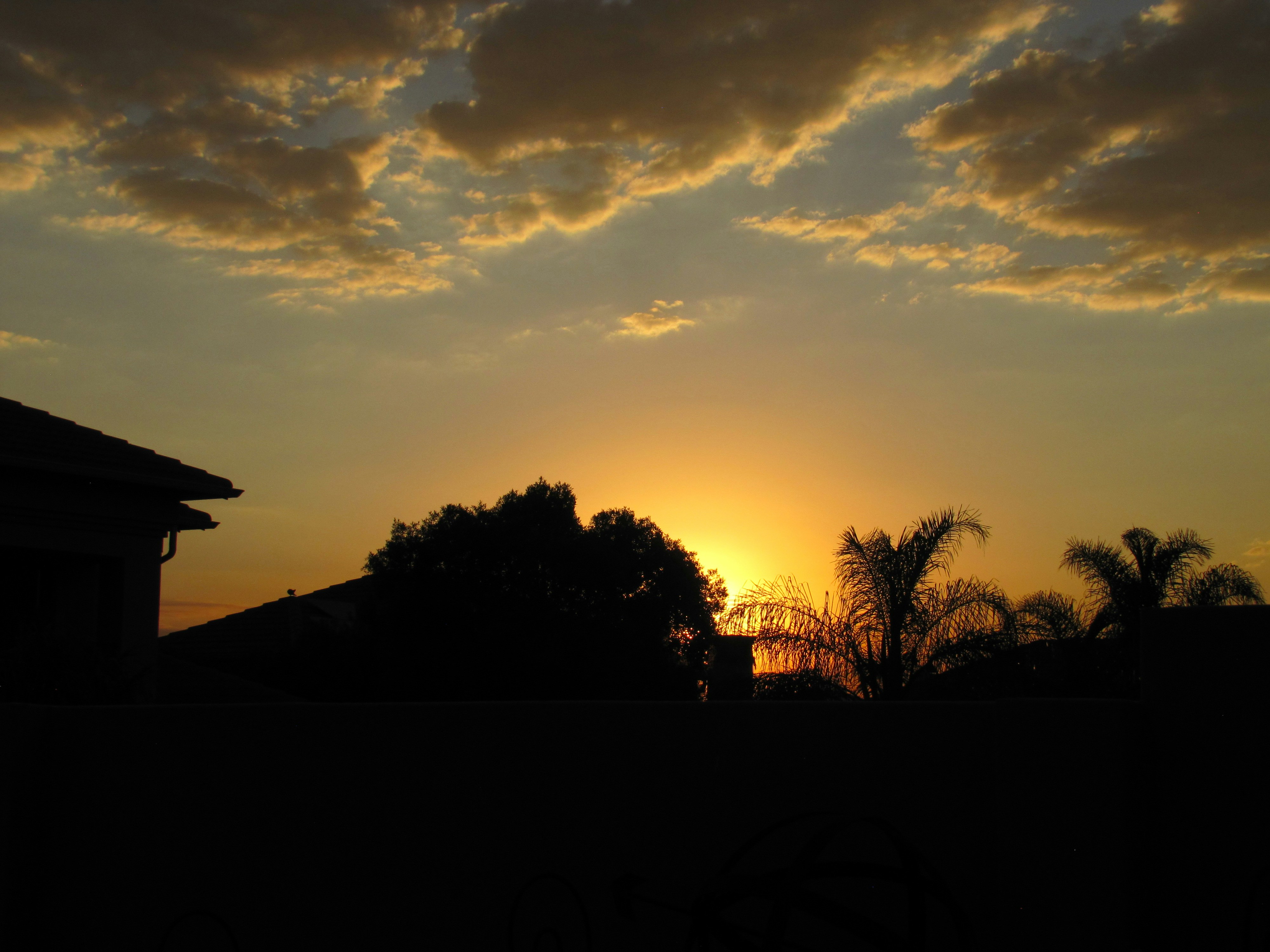 Photo by alanareyneke