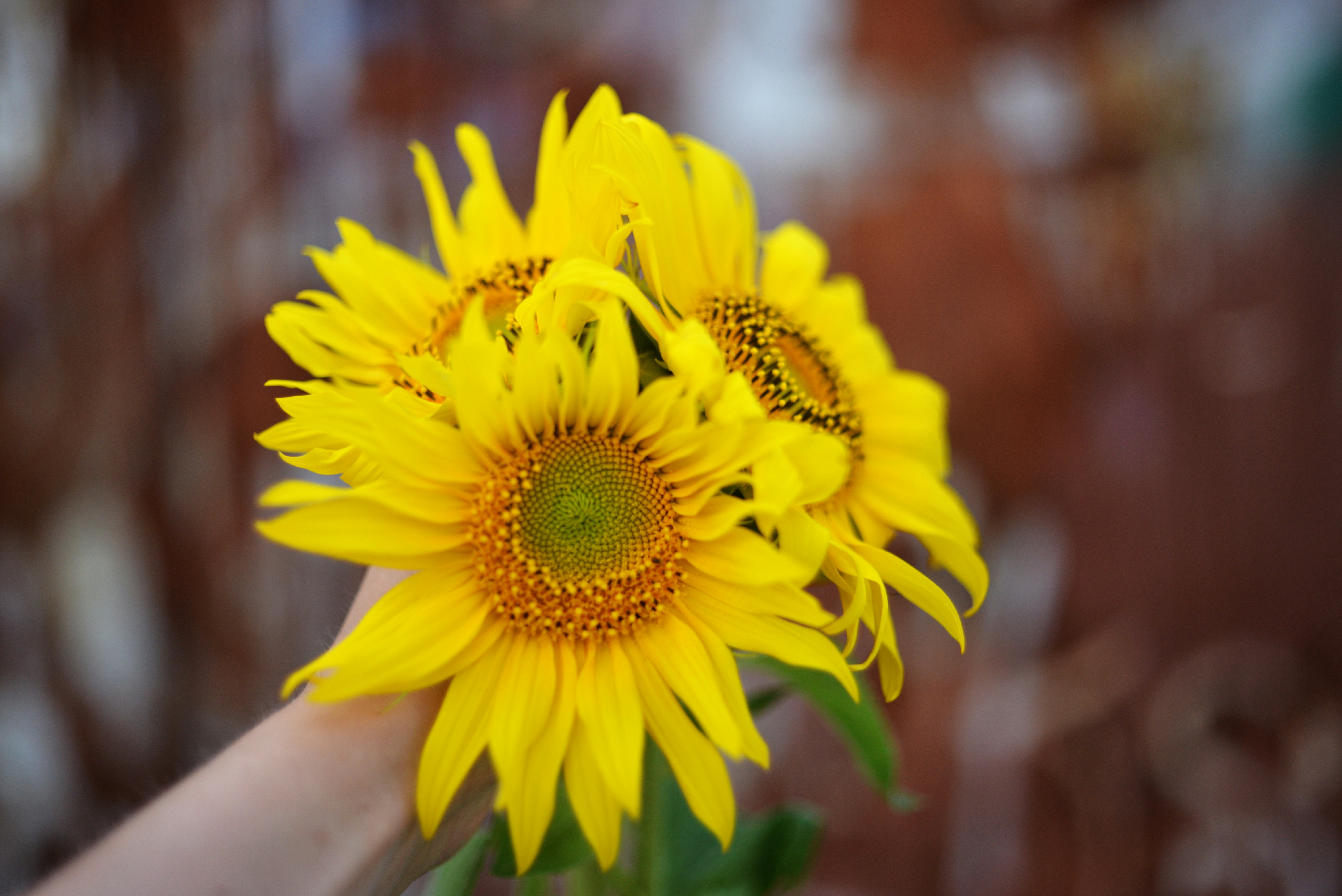 Photo by cherstve_pechivo