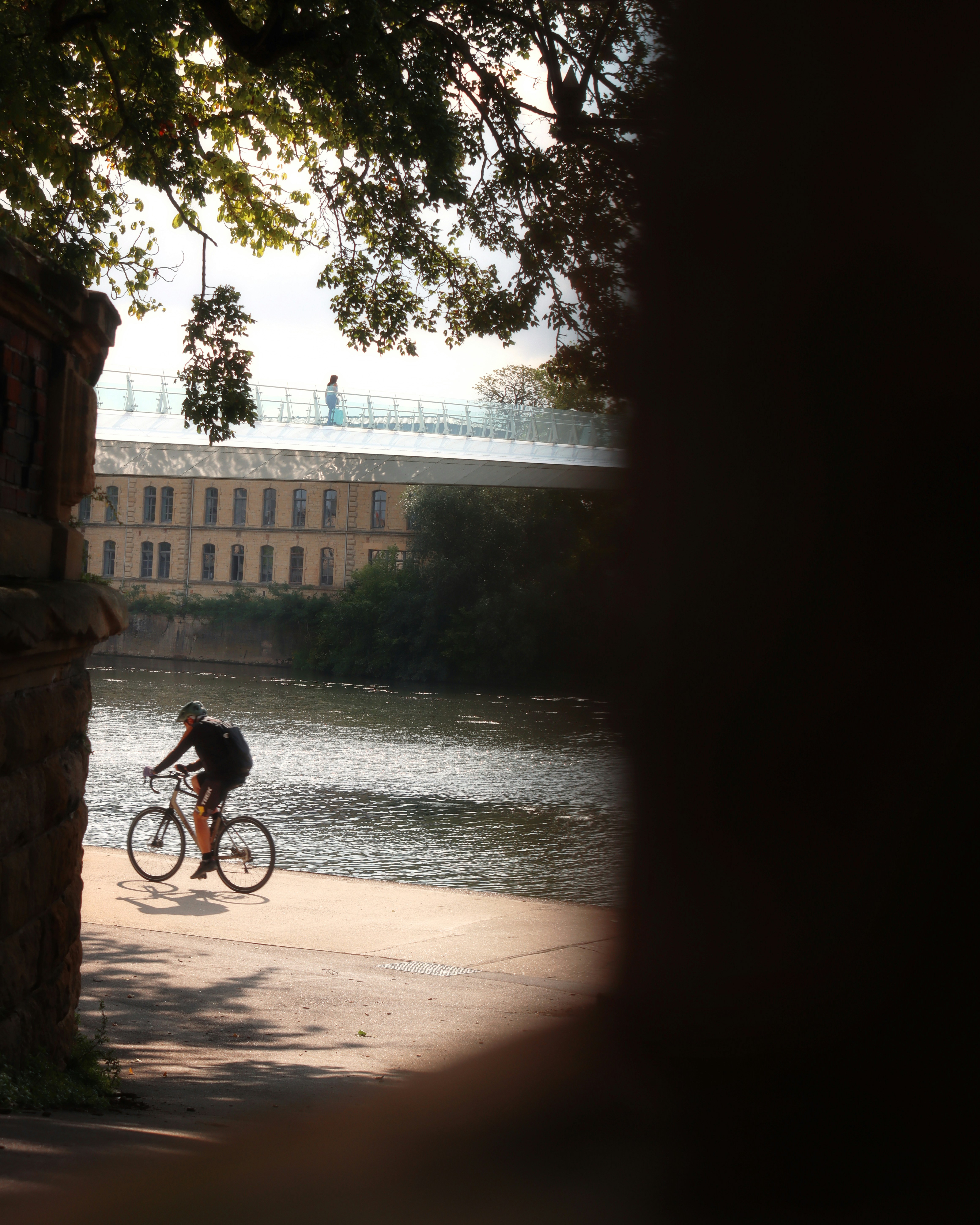 A cyclist rides by the river near a bridge.